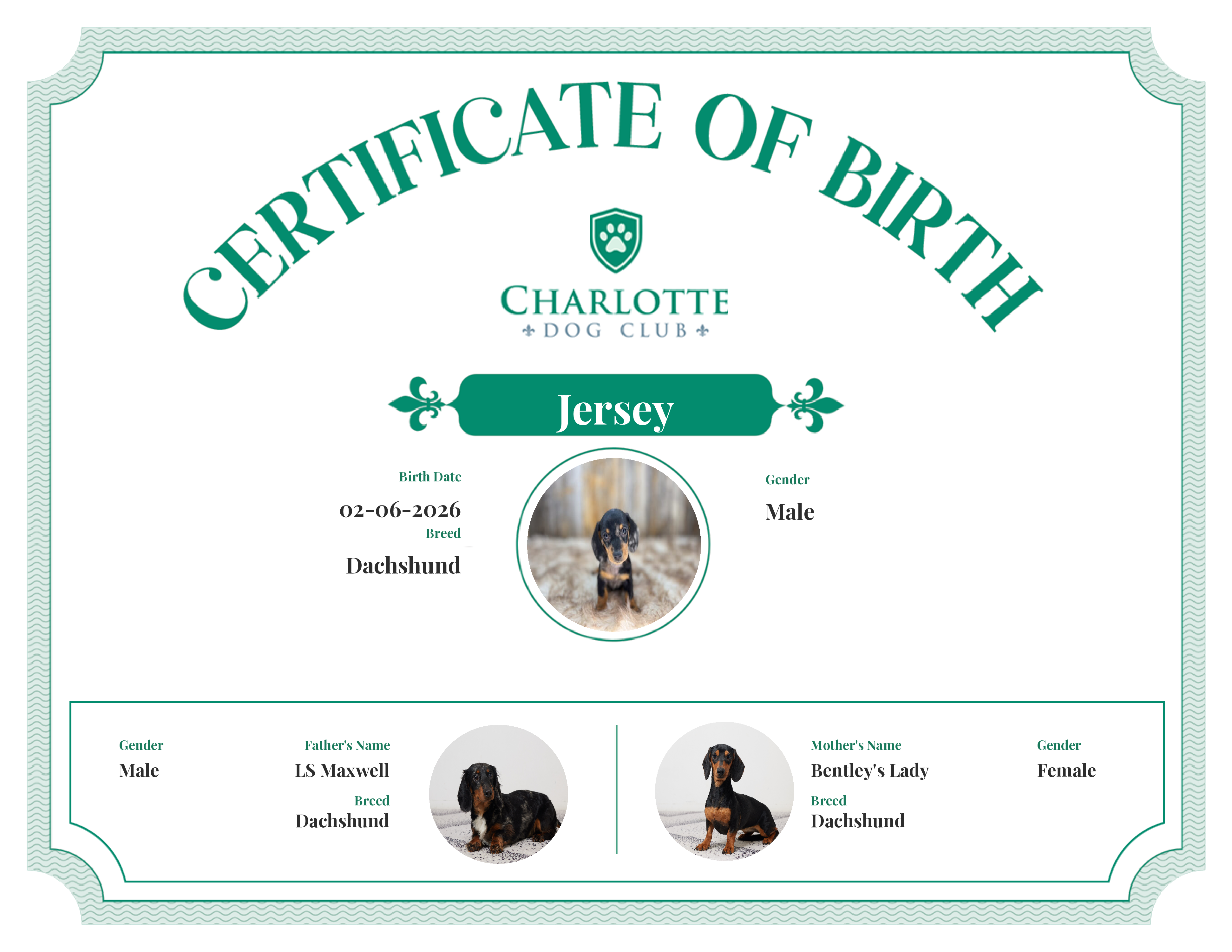Jersey's Birth Certificate