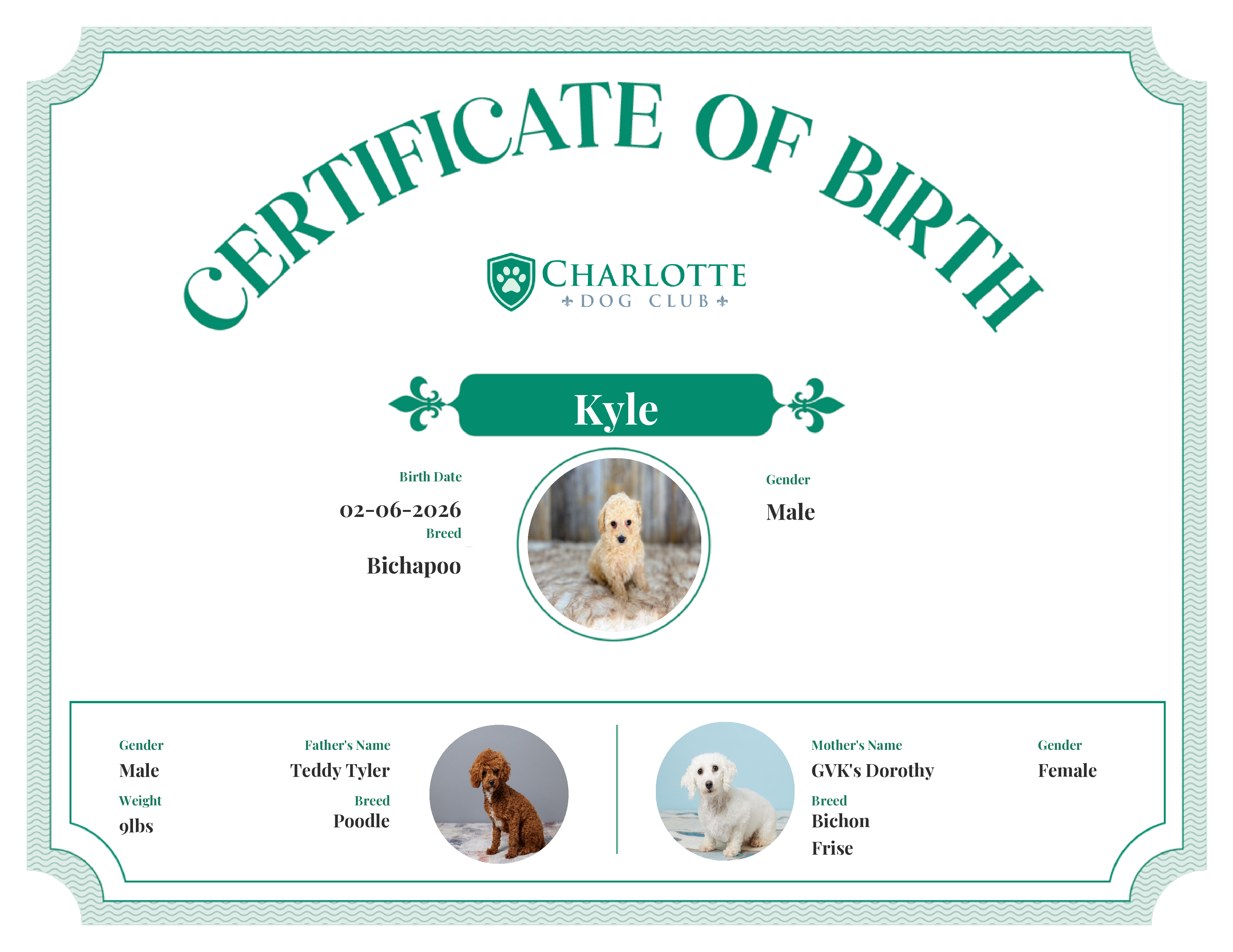 Kyle's Birth Certificate