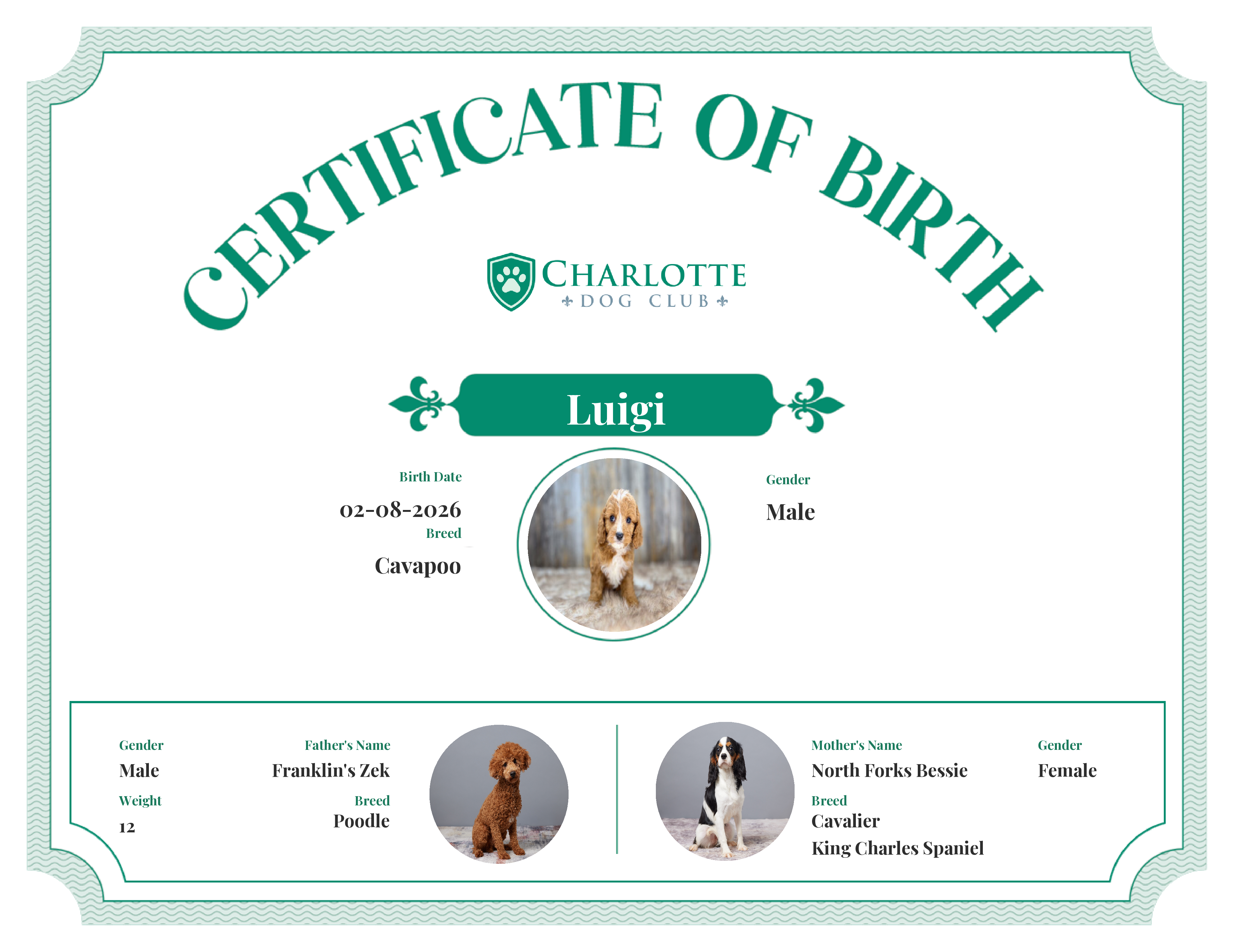 Luigi's Birth Certificate