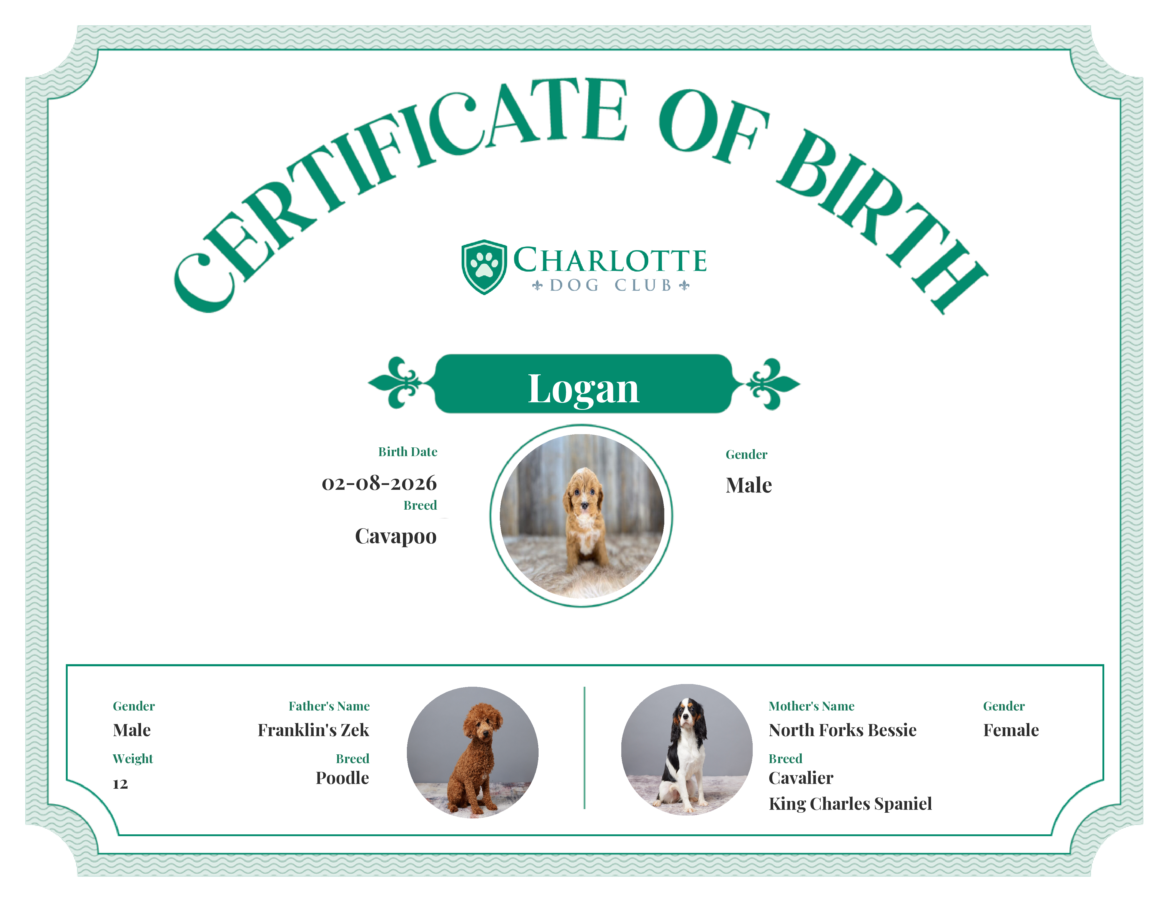 Logan's Birth Certificate