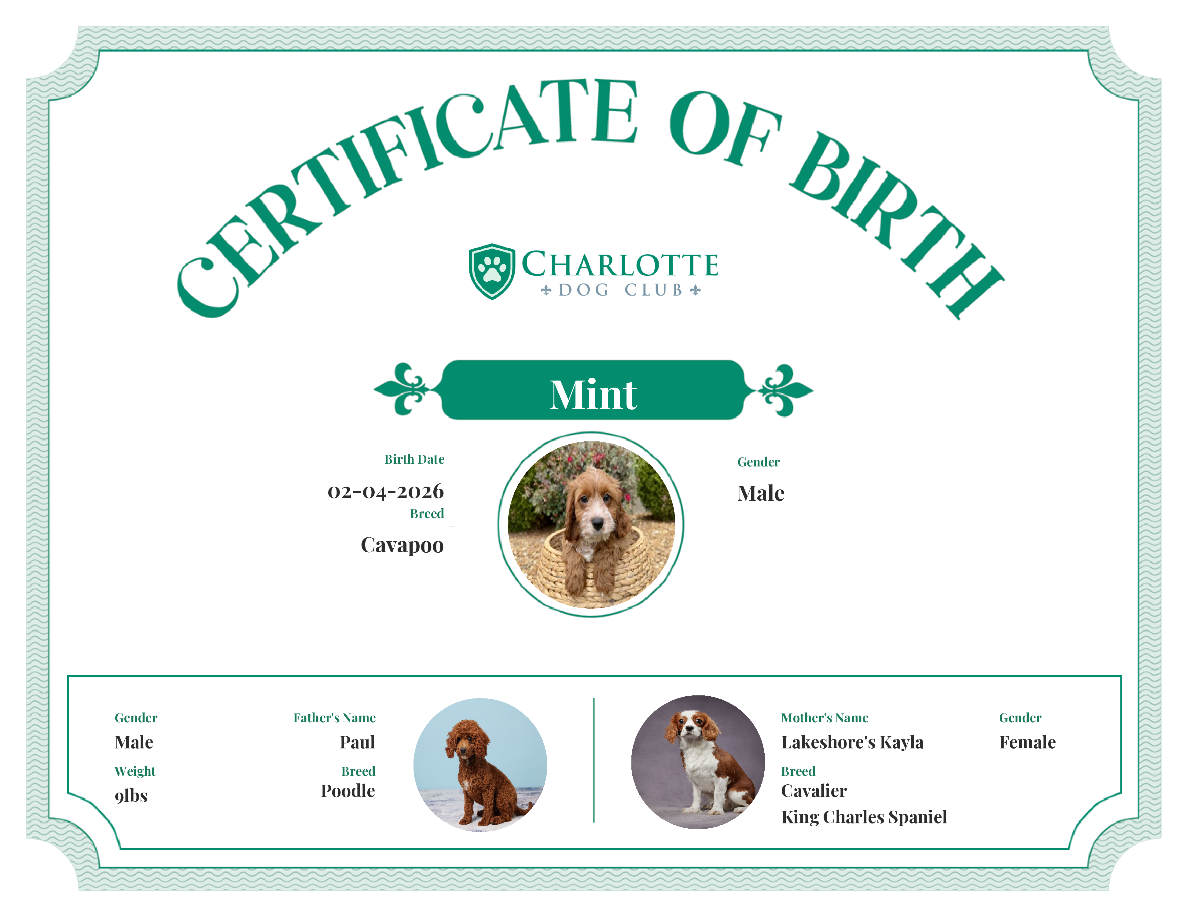 Mint's Birth Certificate