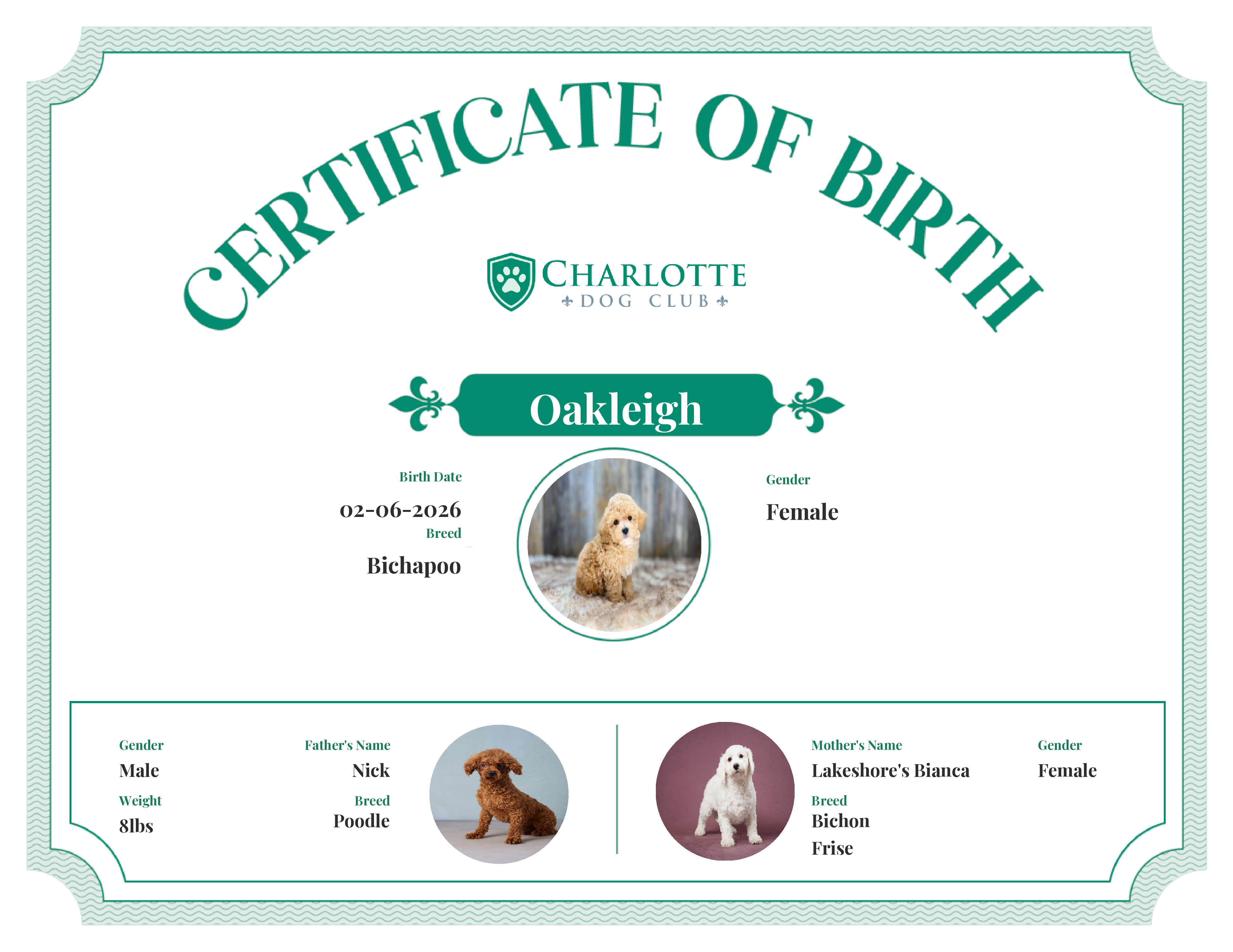 Oakleigh's Birth Certificate
