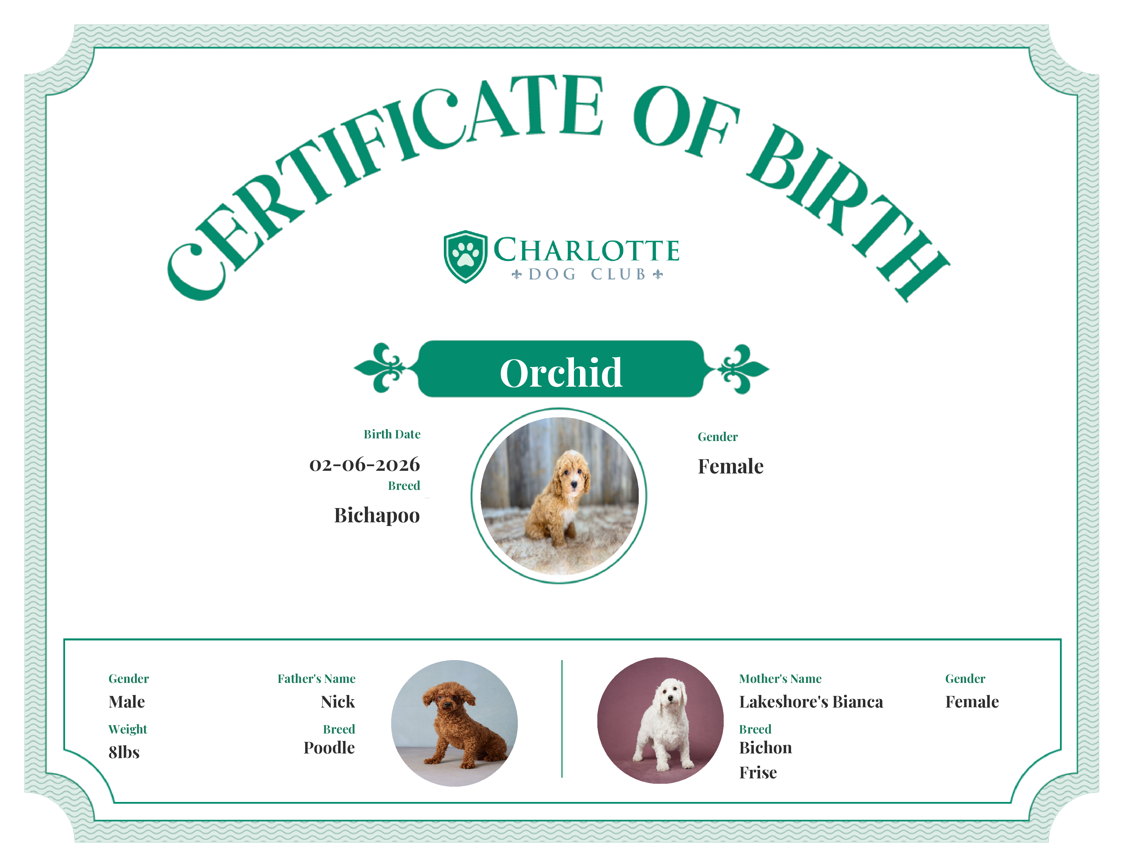 Orchid's Birth Certificate