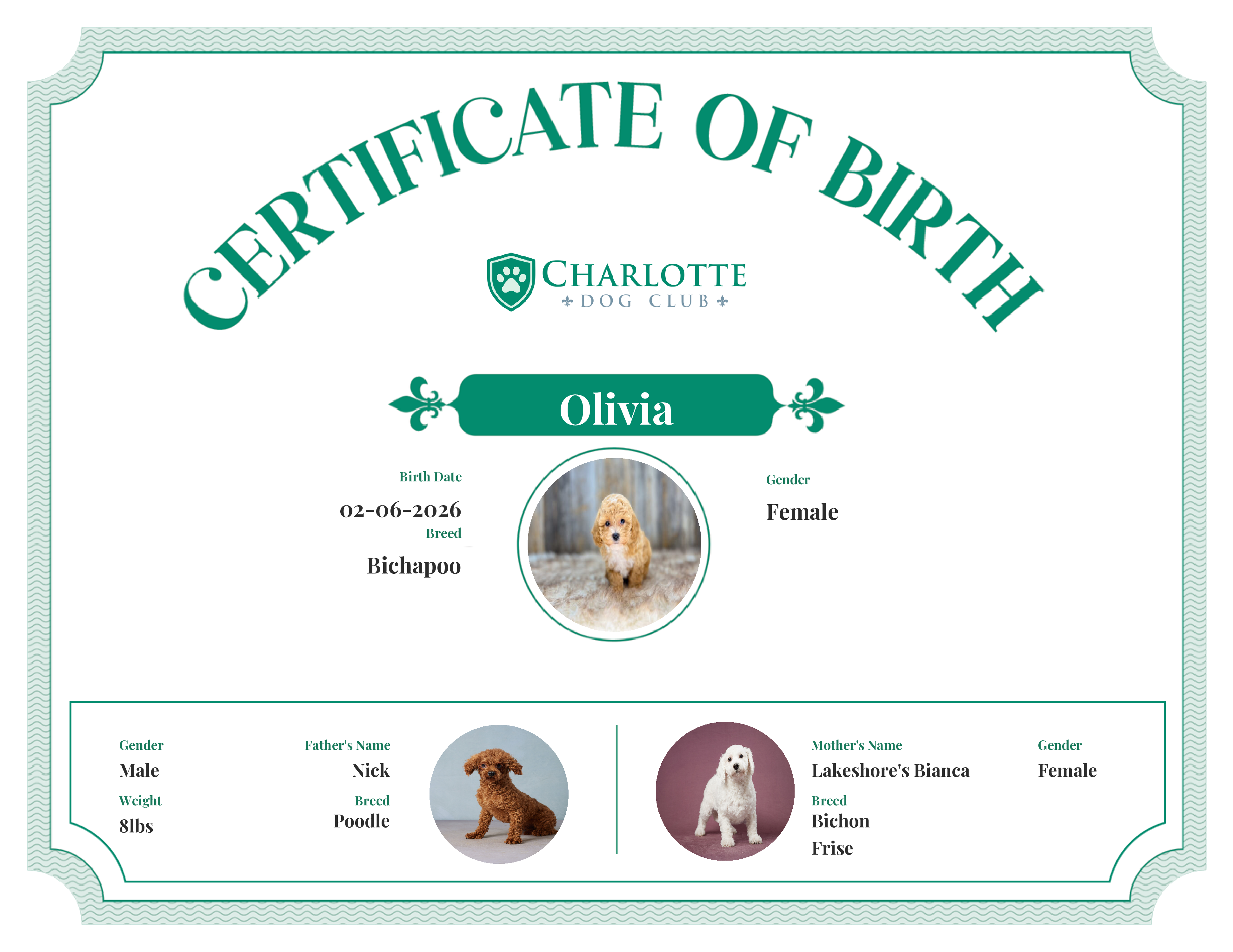 Olivia's Birth Certificate