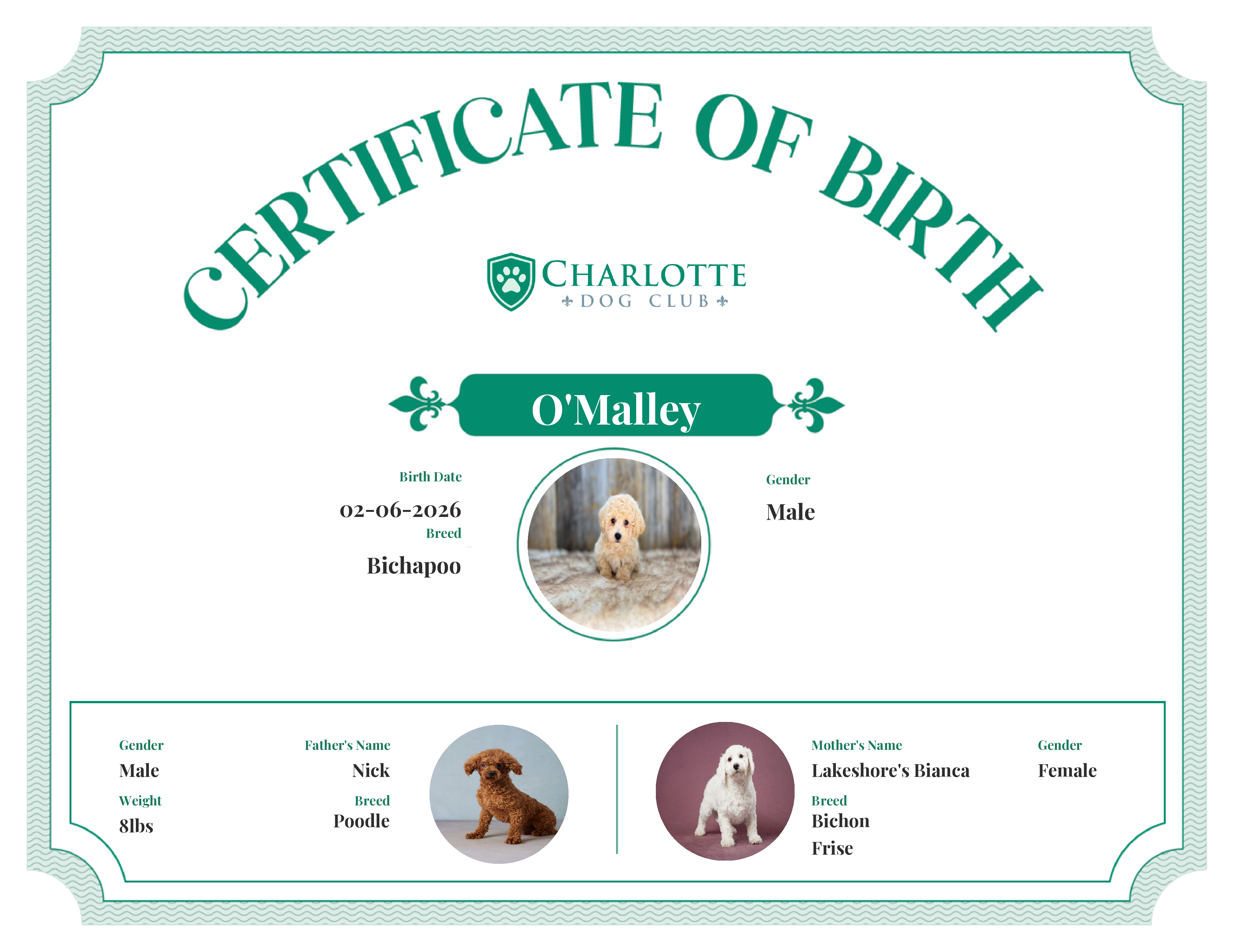 O'Malley's Birth Certificate