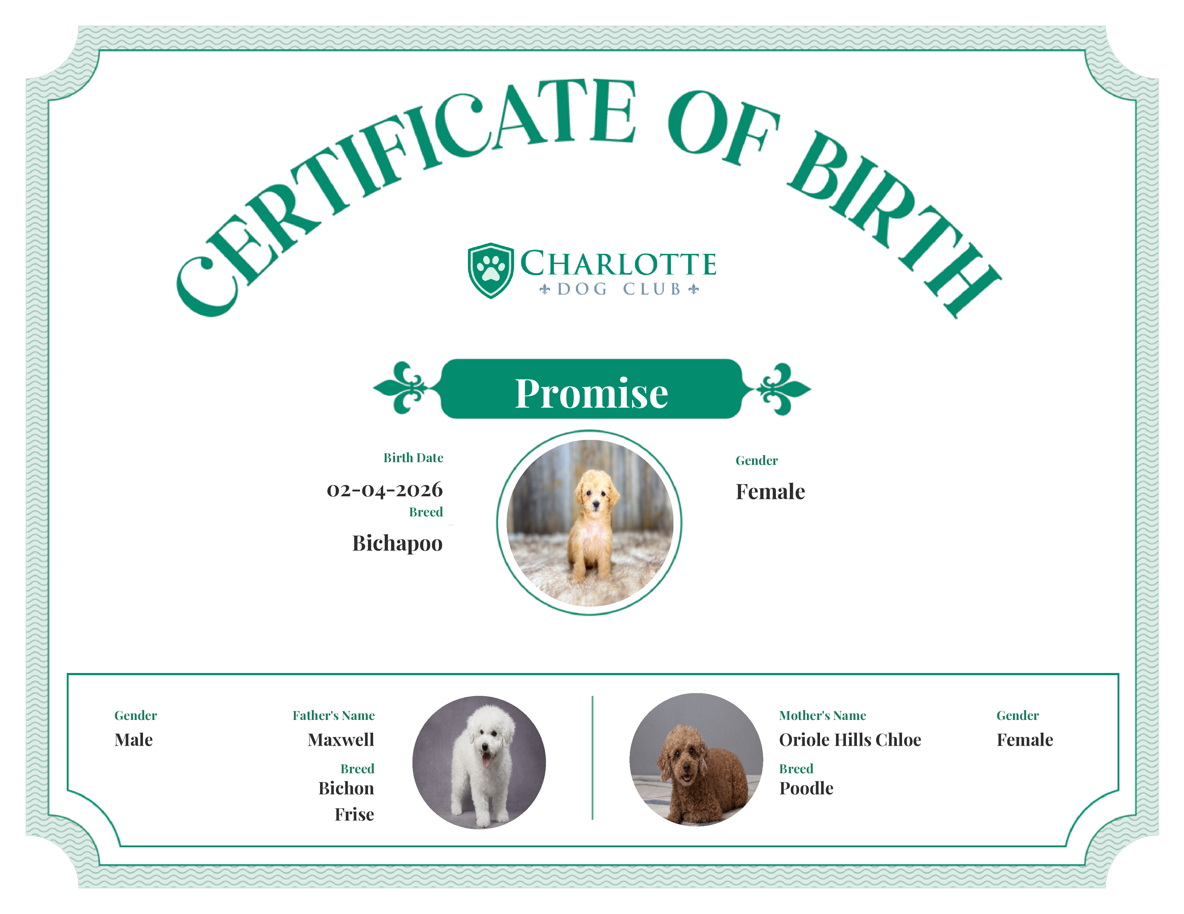 Promise's Birth Certificate