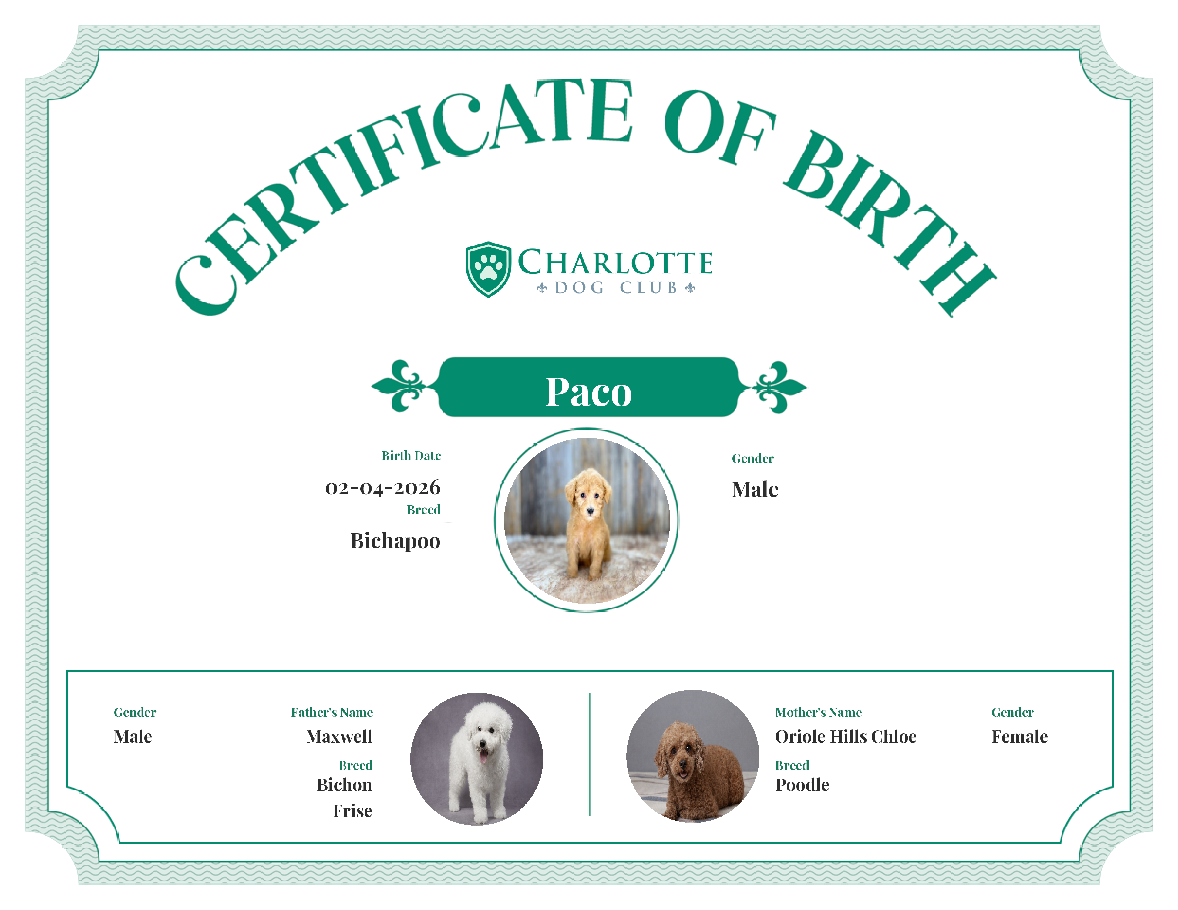 Paco's Birth Certificate