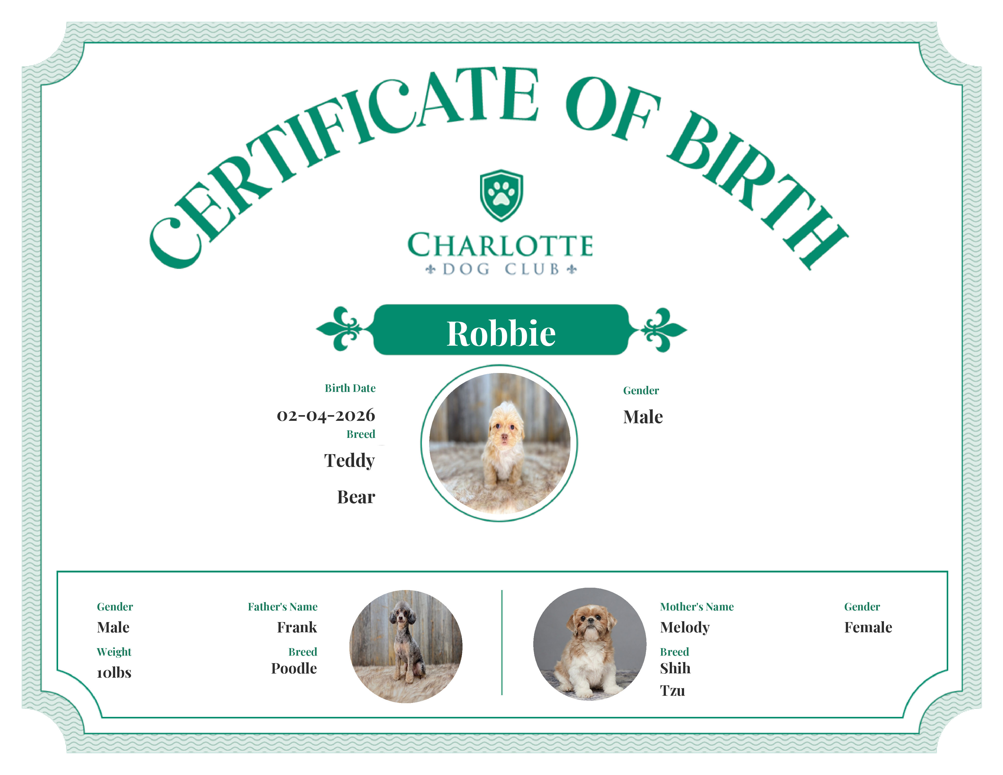 Robbie's Birth Certificate