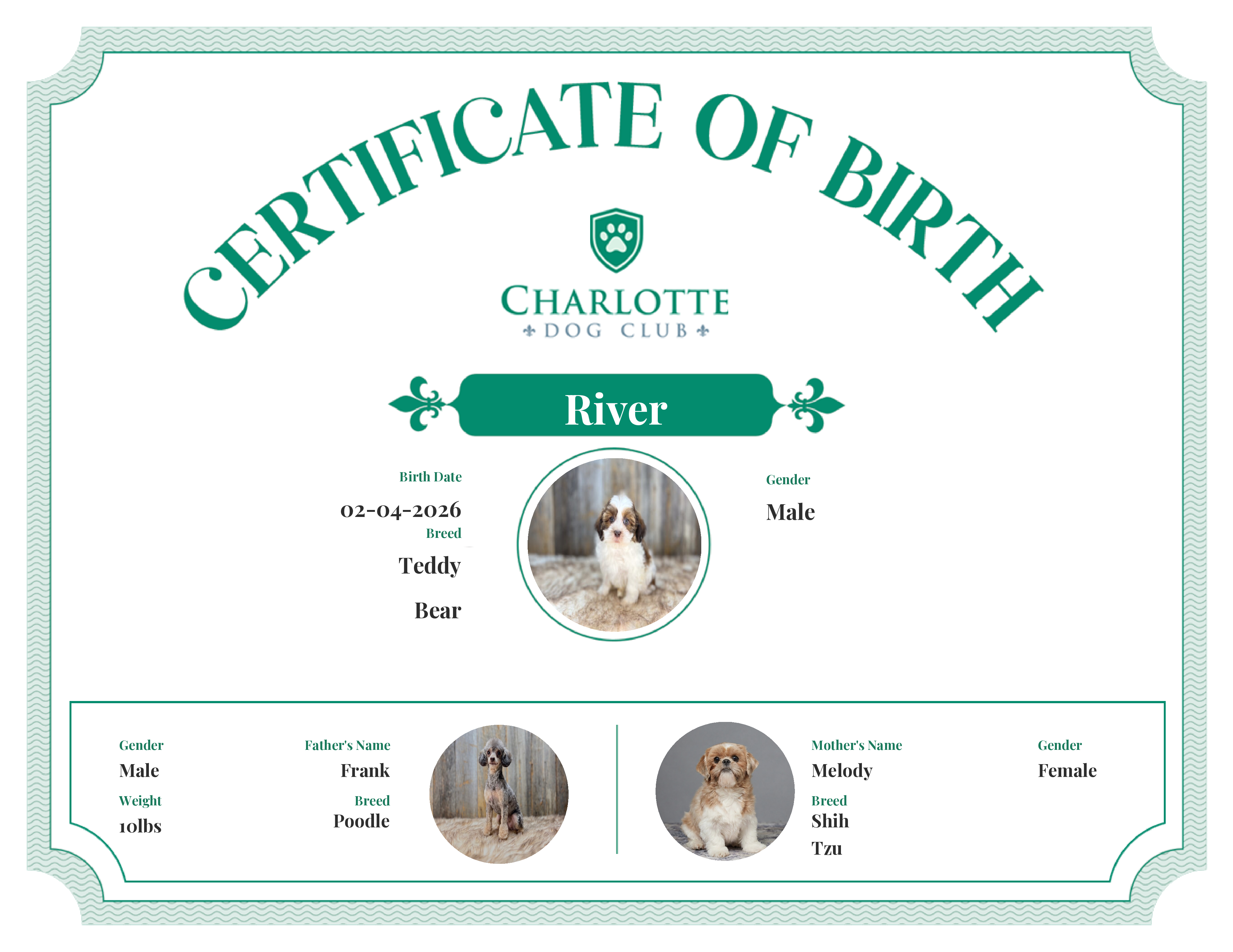 River's Birth Certificate