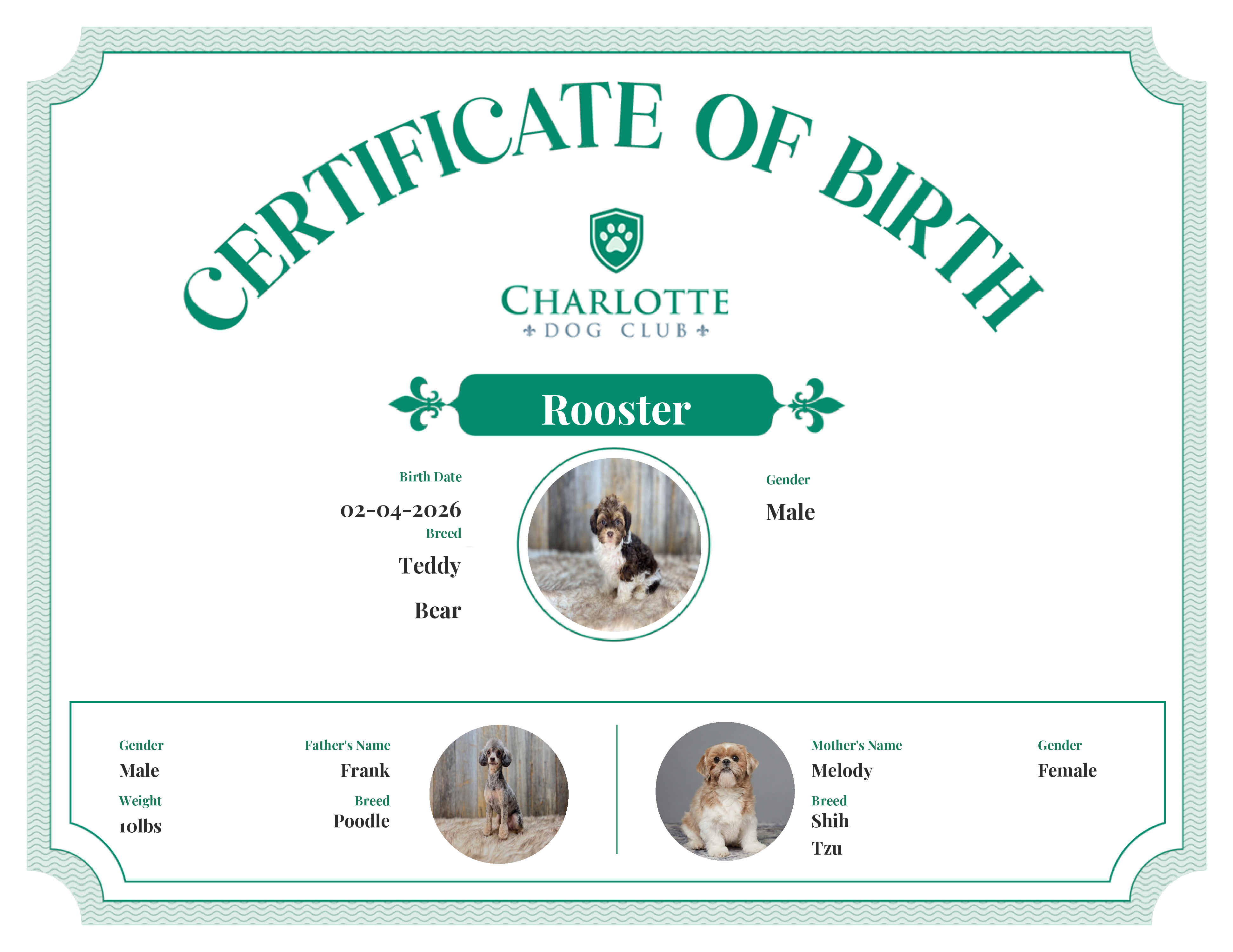 Rooster's Birth Certificate