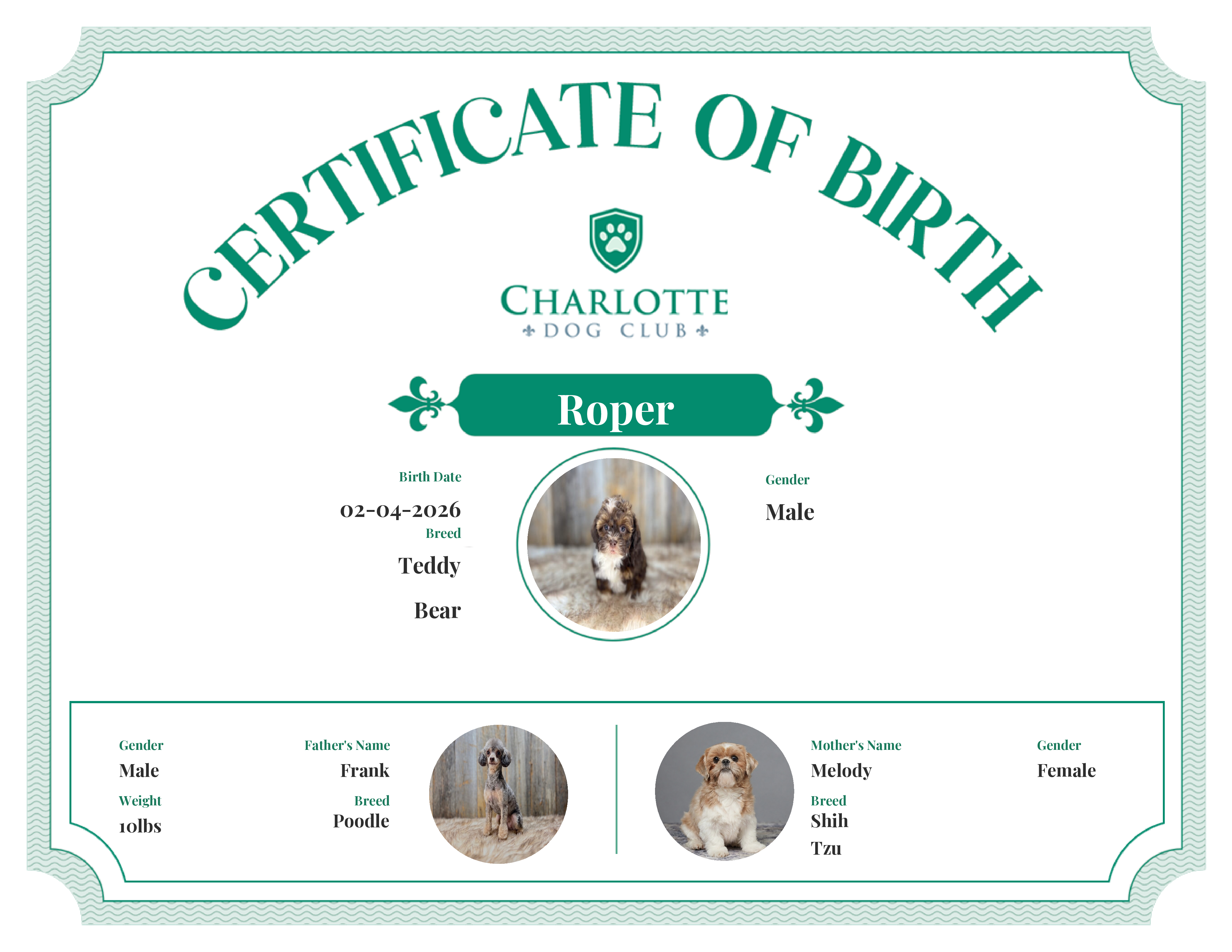 Roper's Birth Certificate
