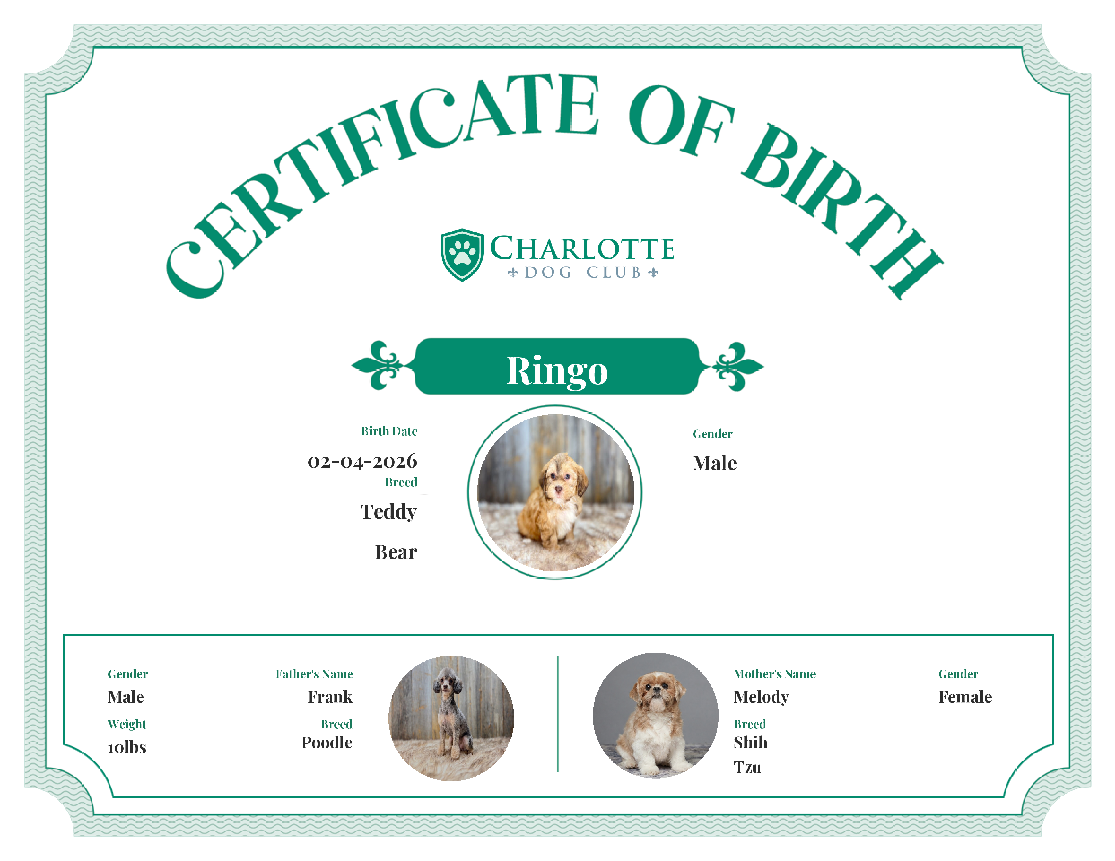 Ringo's Birth Certificate