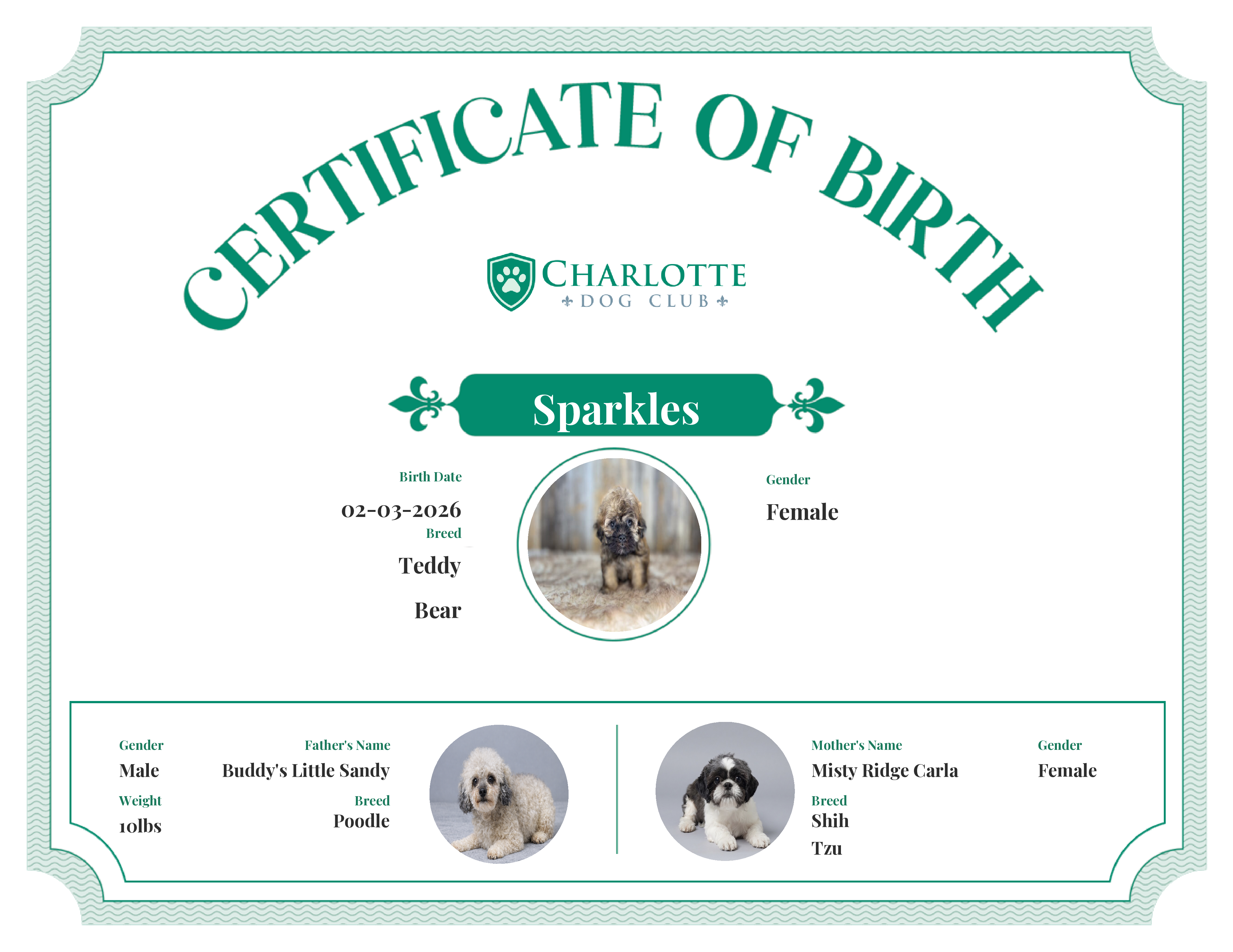 Sparkles's Birth Certificate