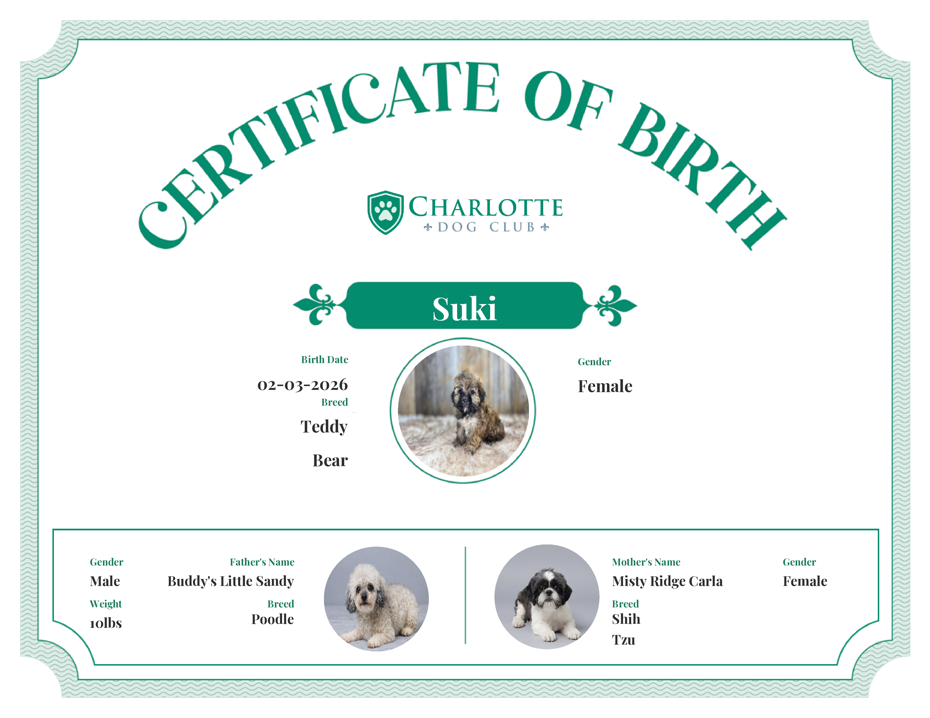 Suki's Birth Certificate