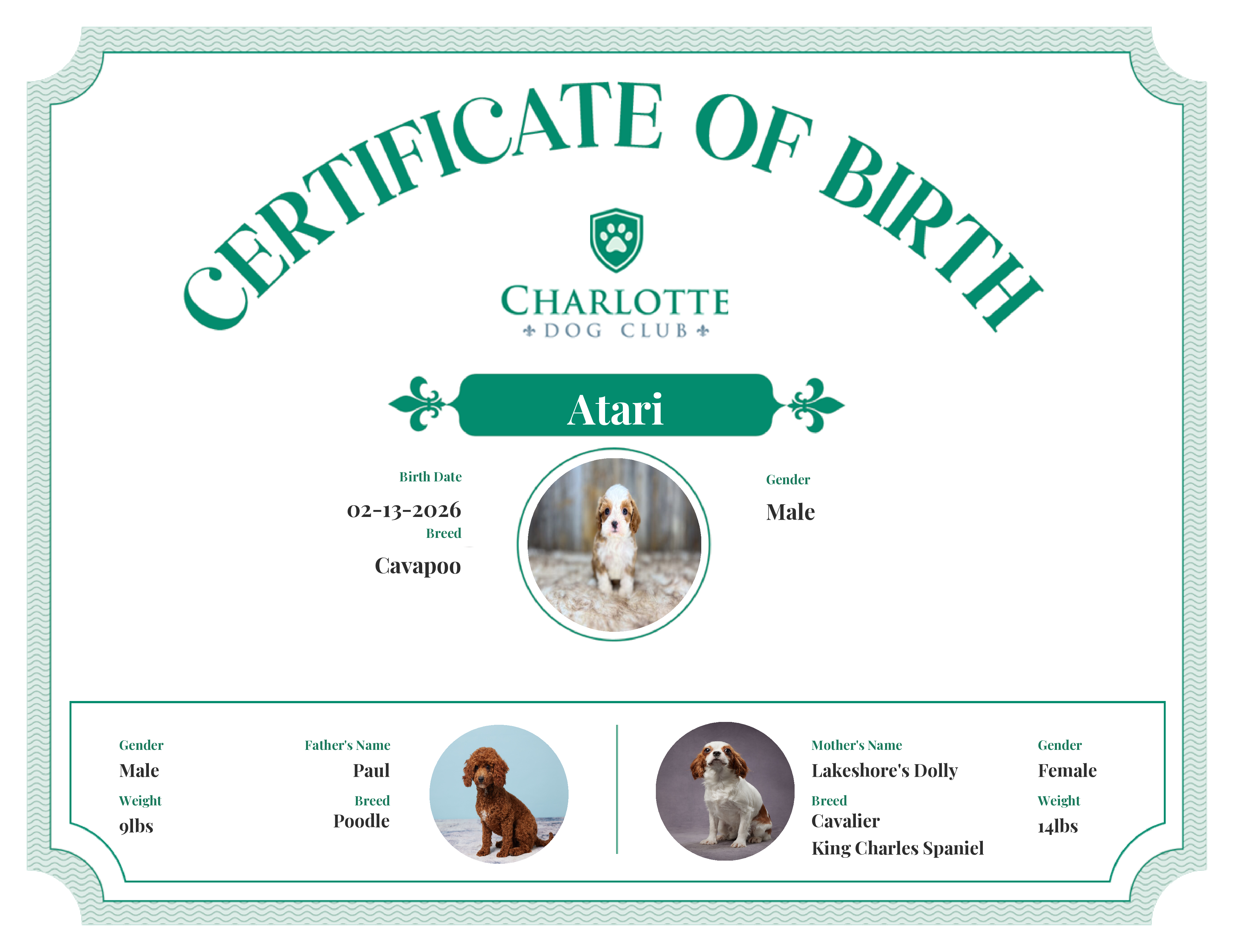 Atari's Birth Certificate