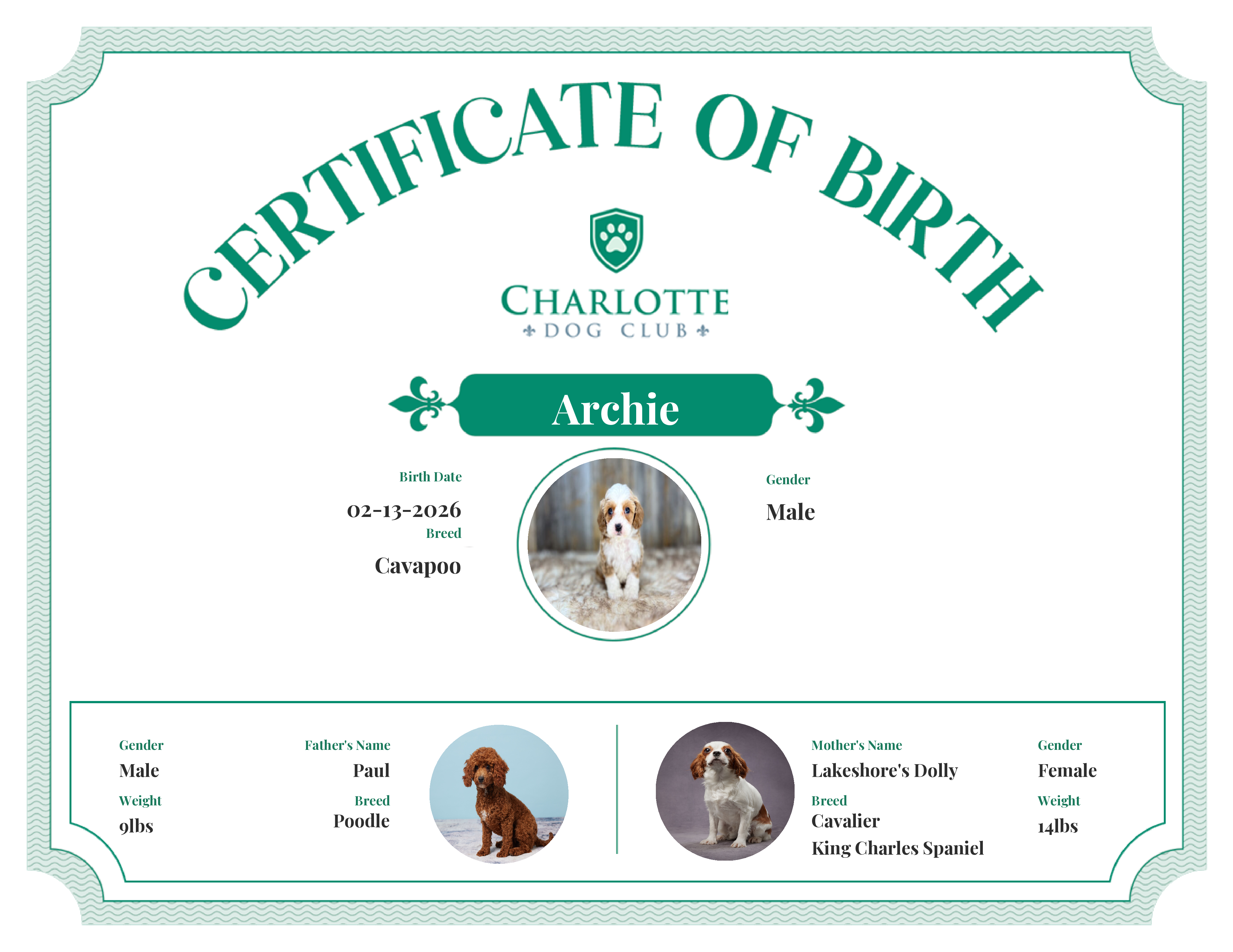 Archie's Birth Certificate