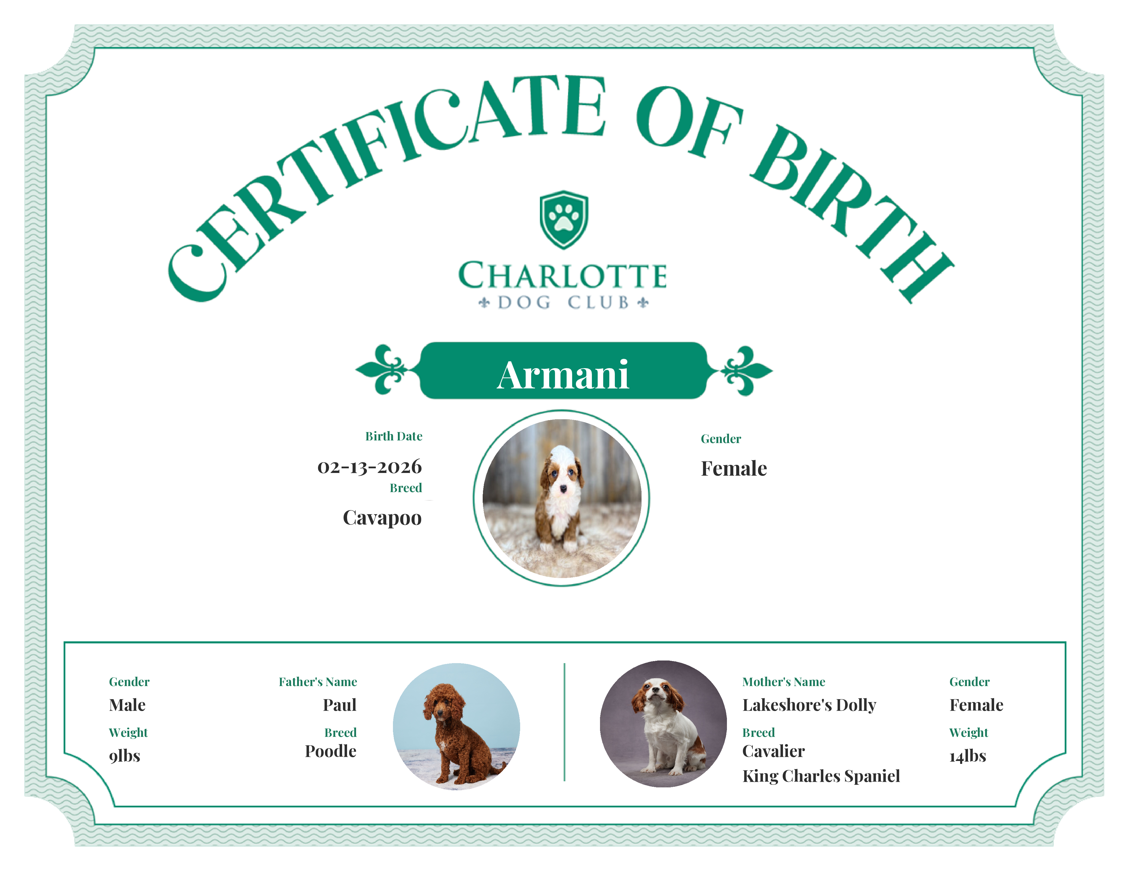 Armani's Birth Certificate