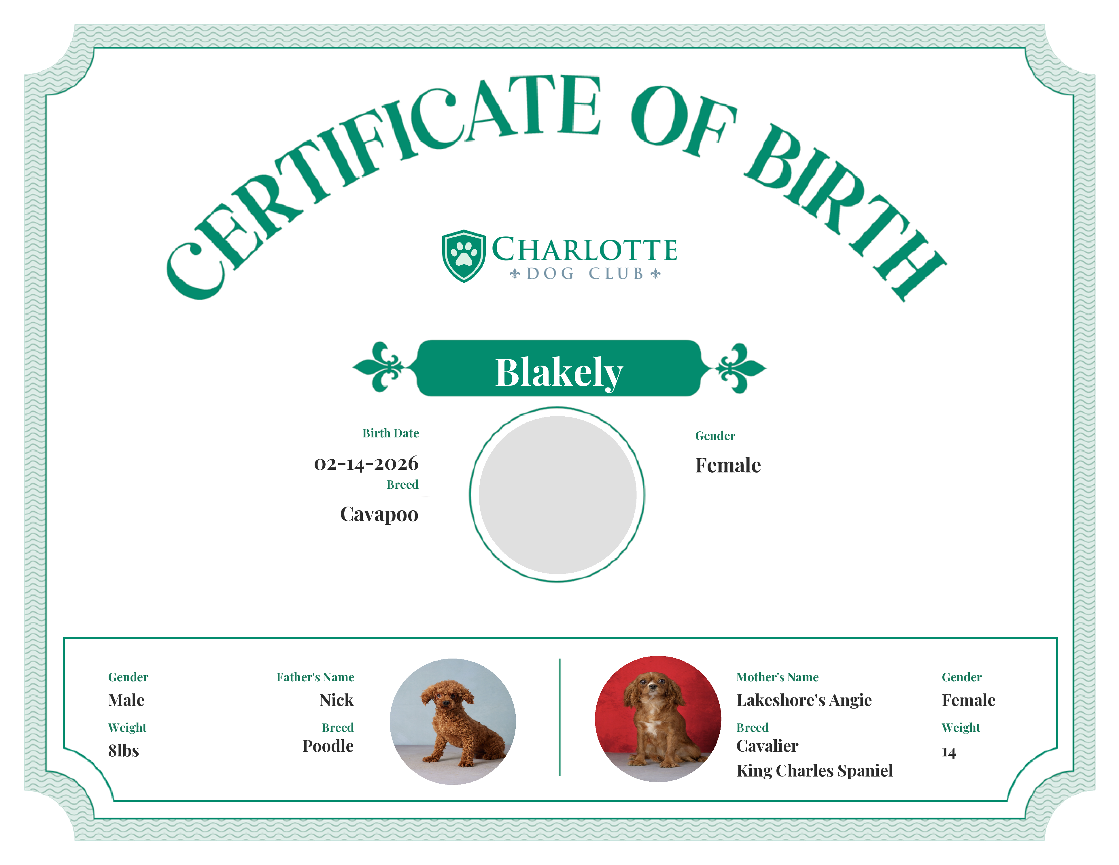 Blakely's Birth Certificate