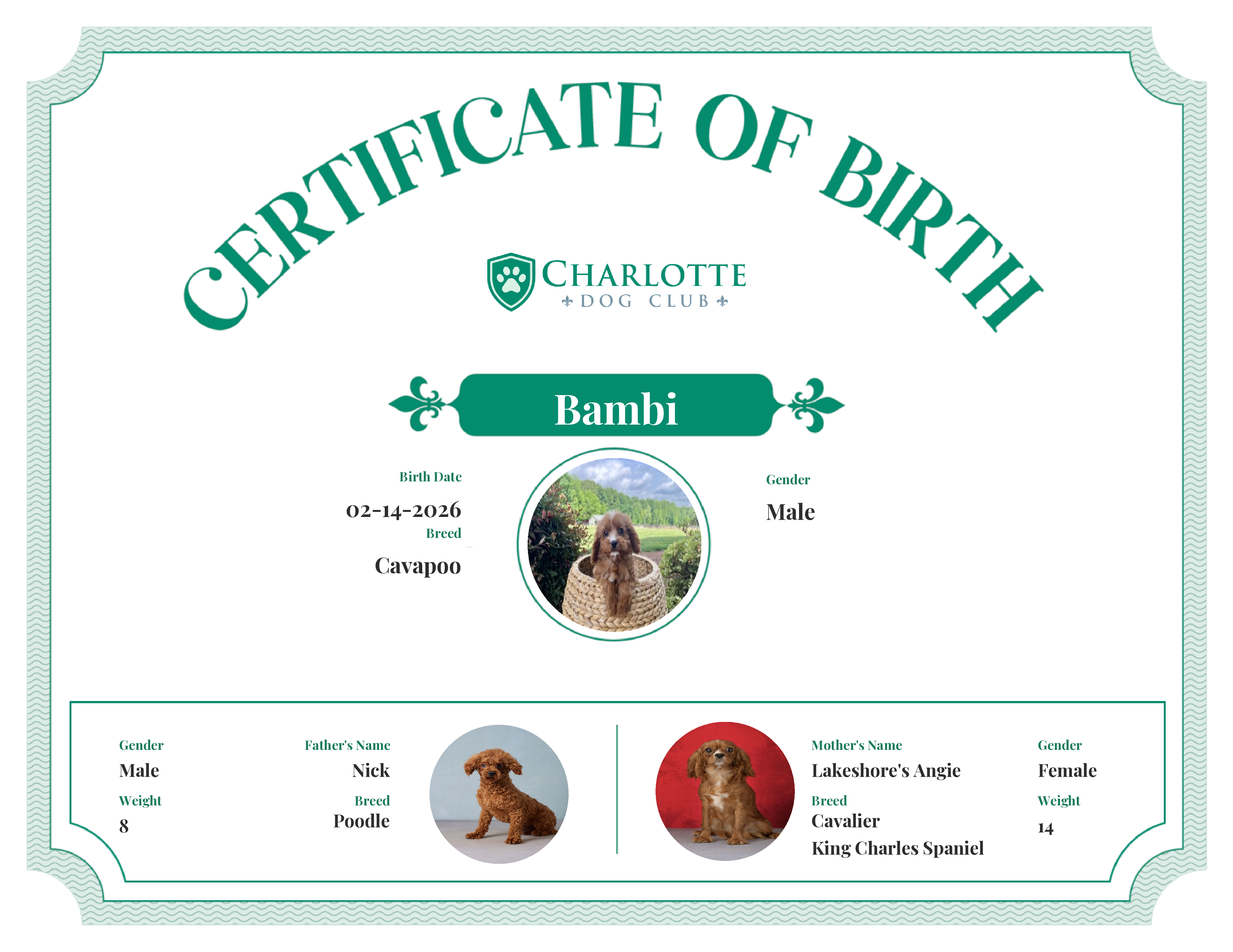 Bambi's Birth Certificate