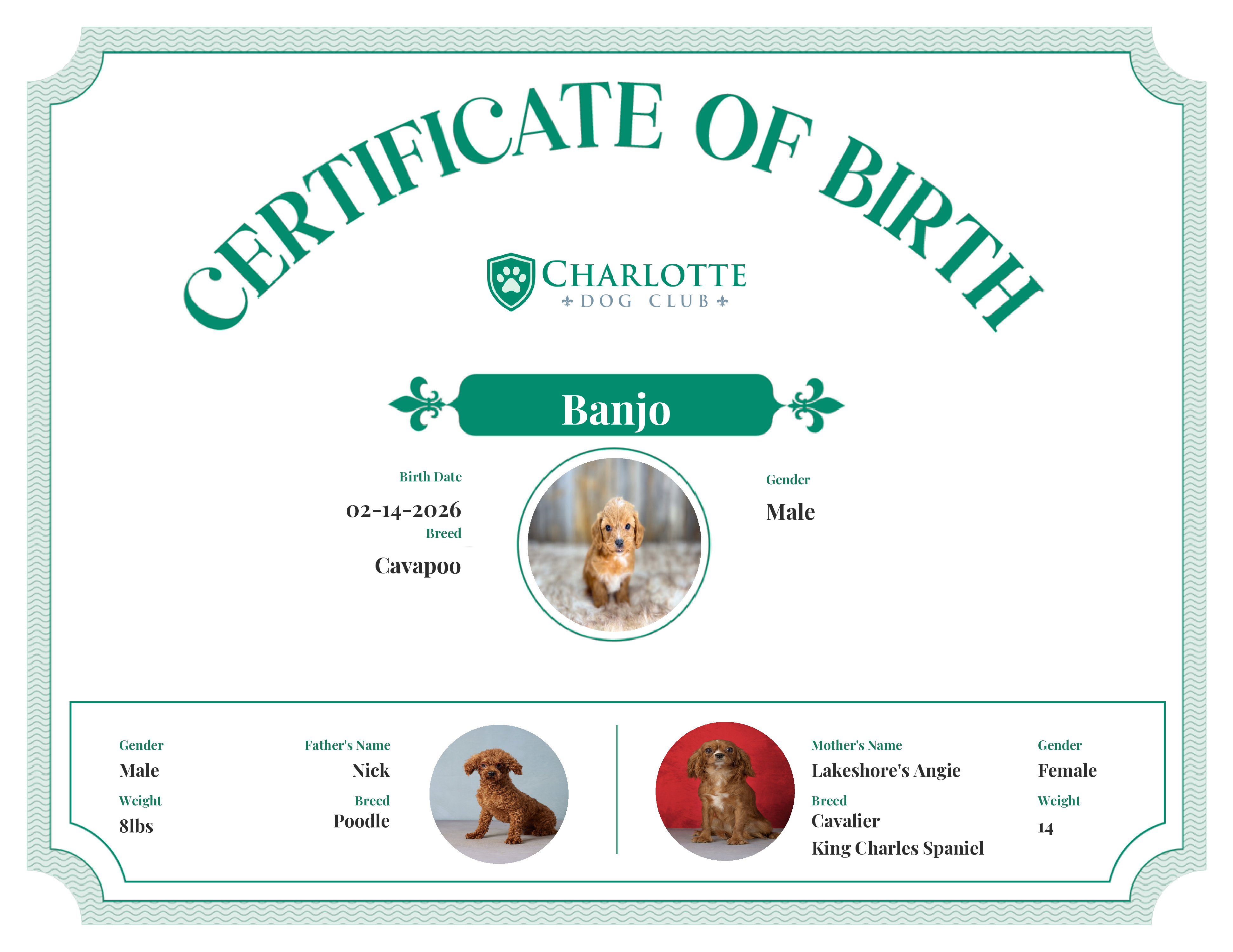 Banjo's Birth Certificate