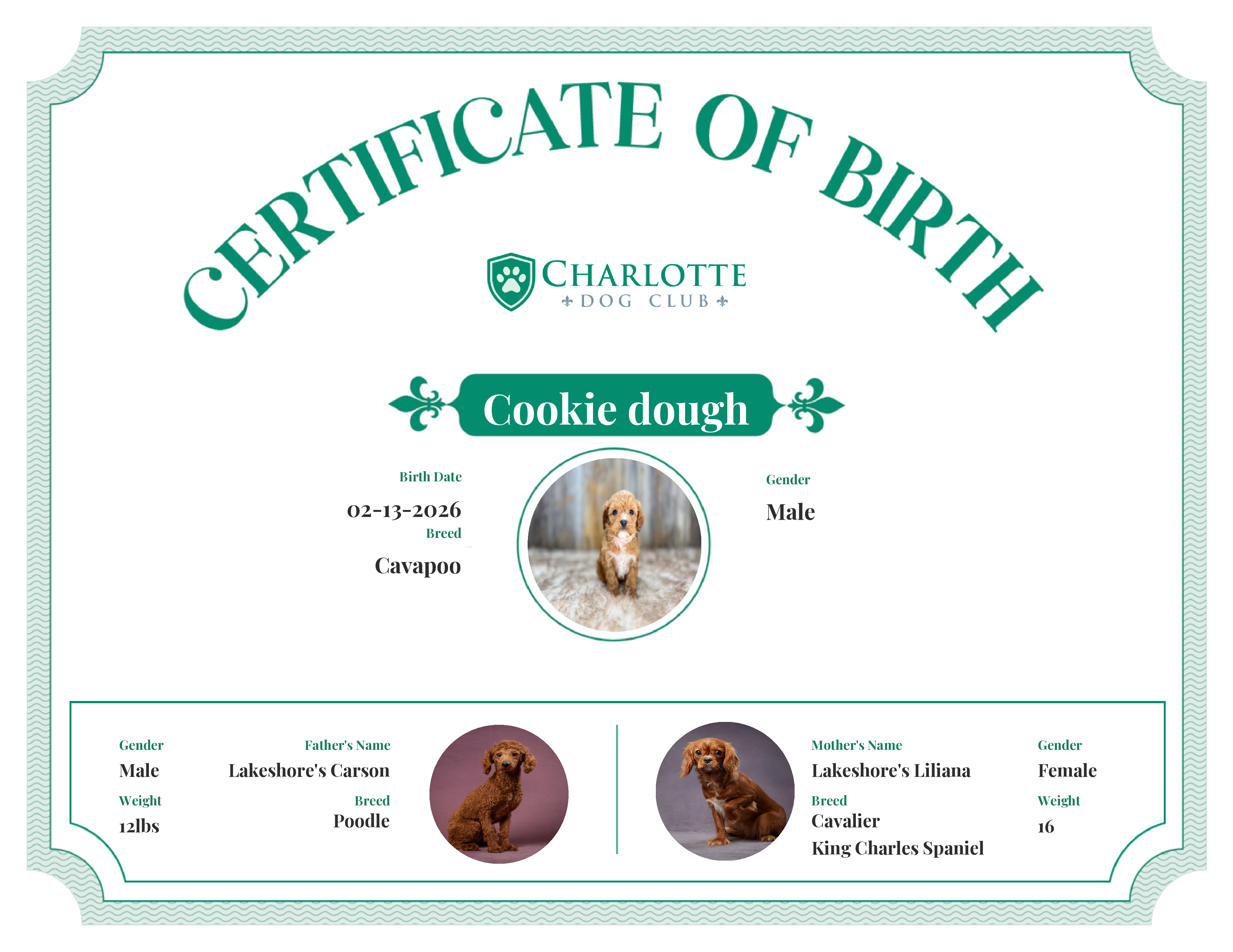 Cookie dough's Birth Certificate