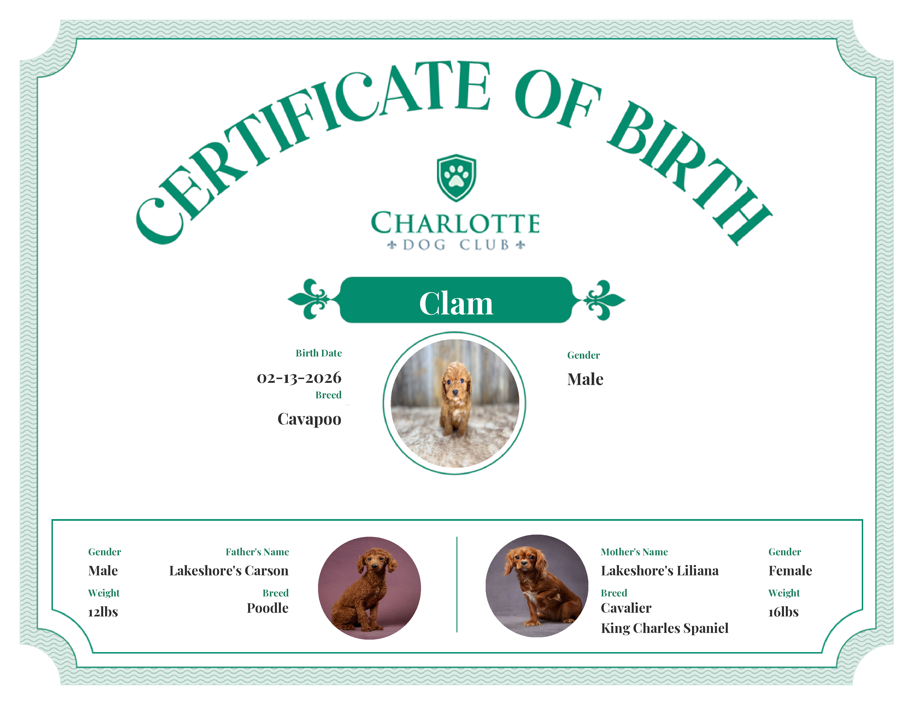 Clam's Birth Certificate