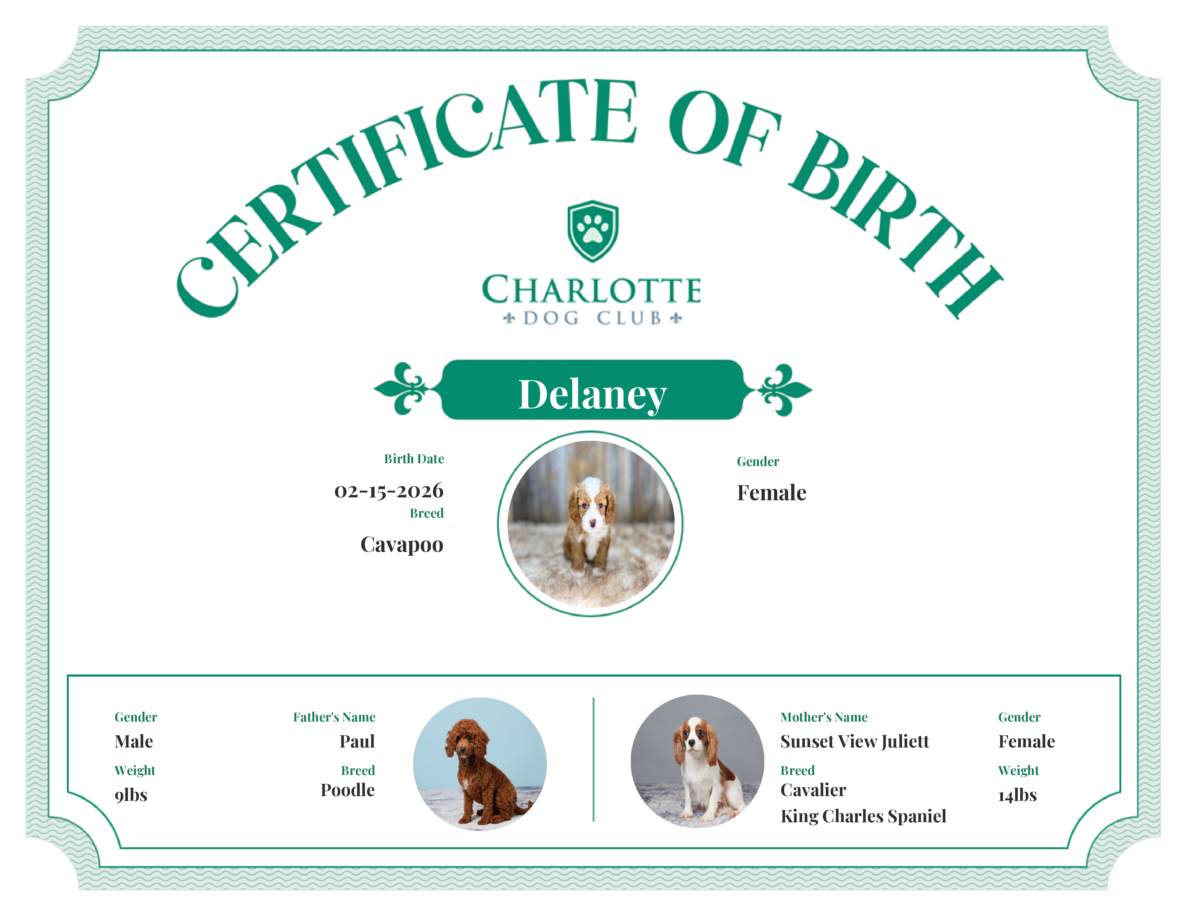 Delaney's Birth Certificate