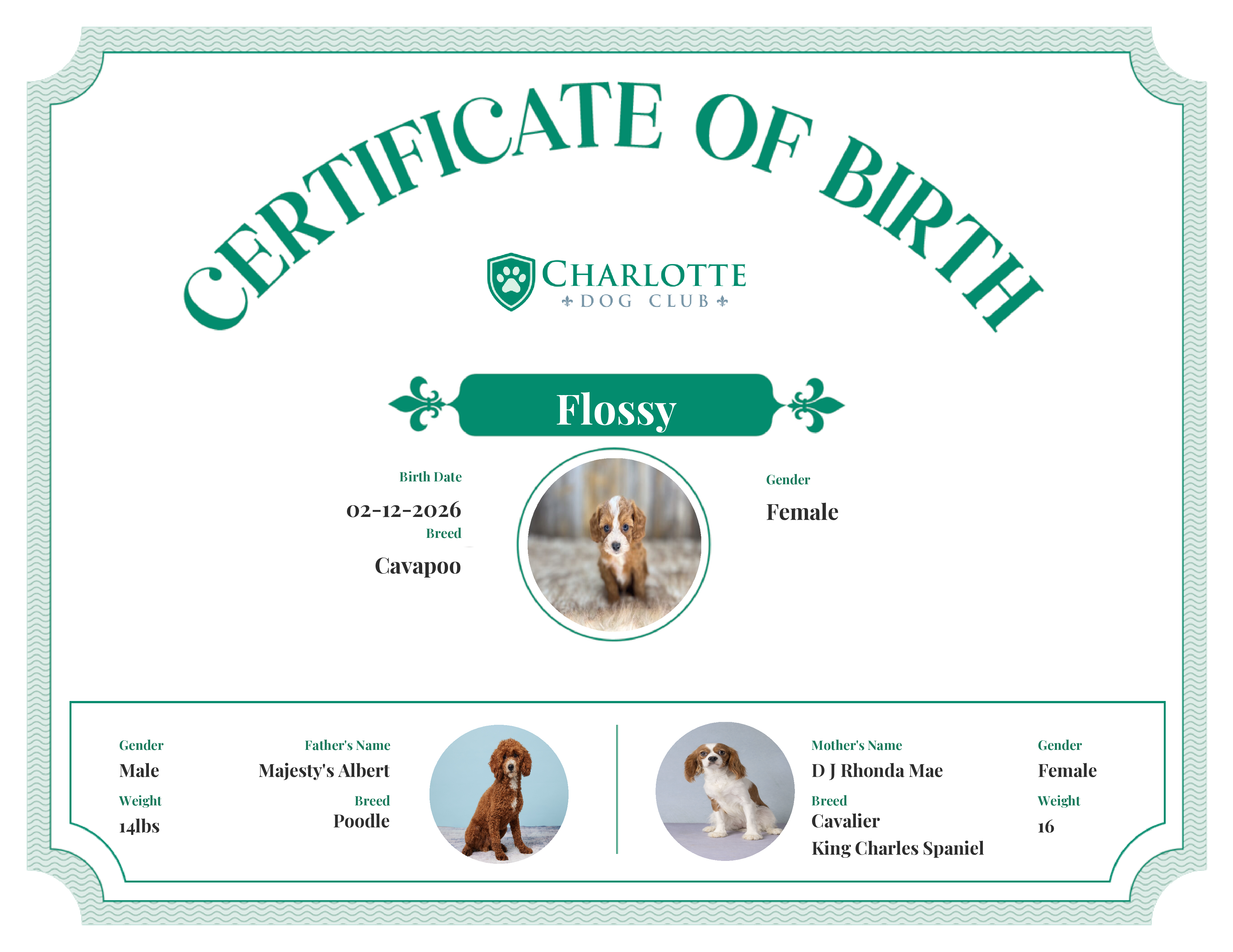Flossy's Birth Certificate