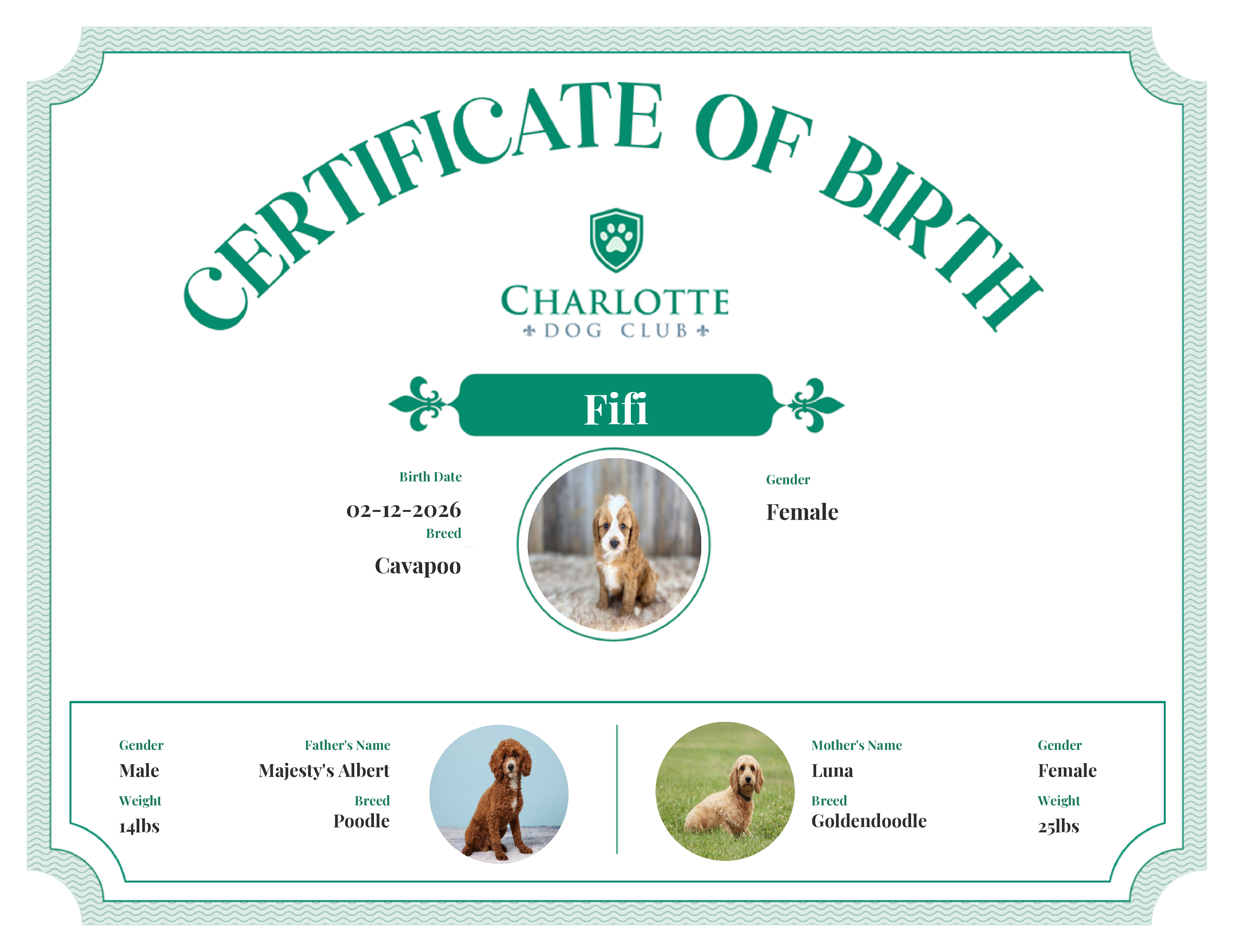 Fifi's Birth Certificate
