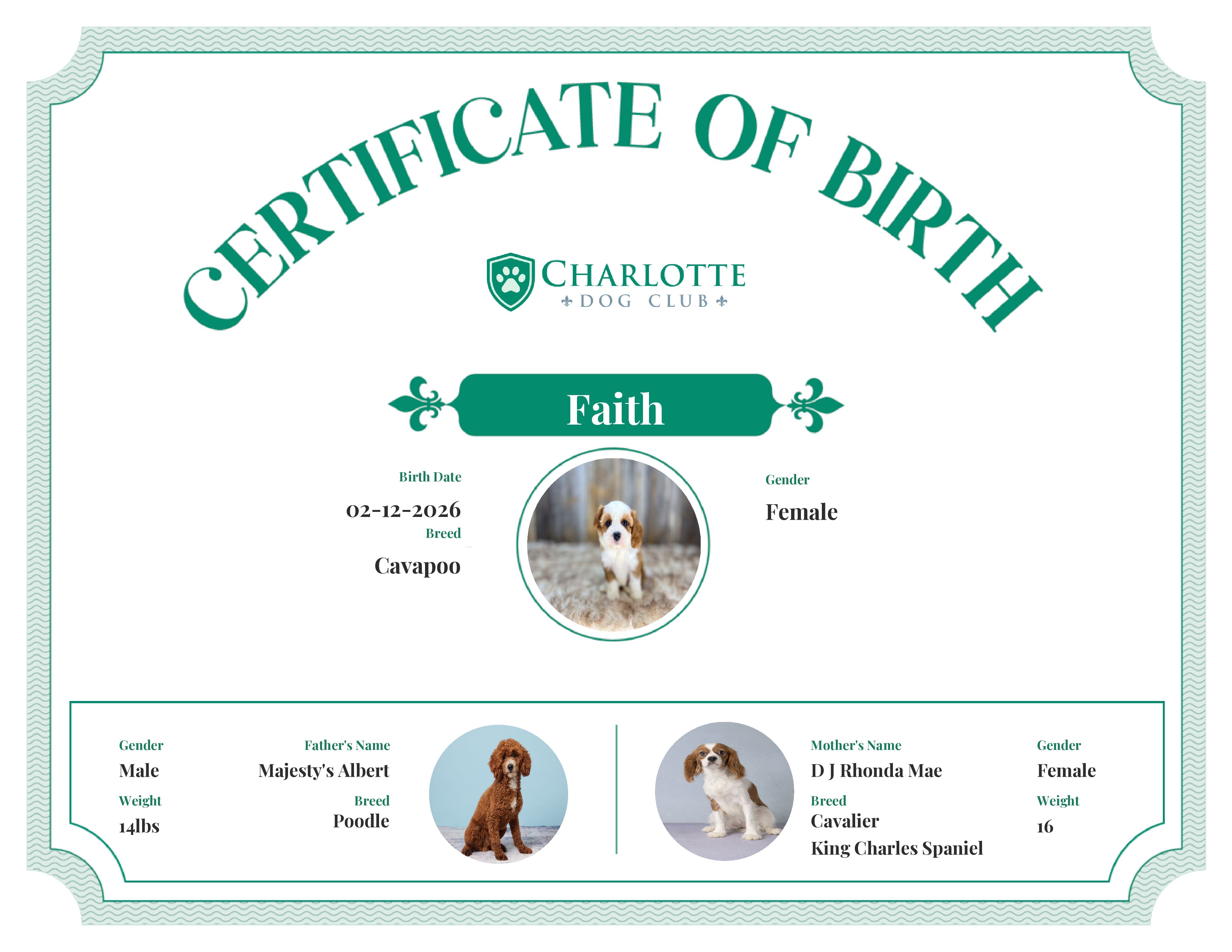 Faith's Birth Certificate