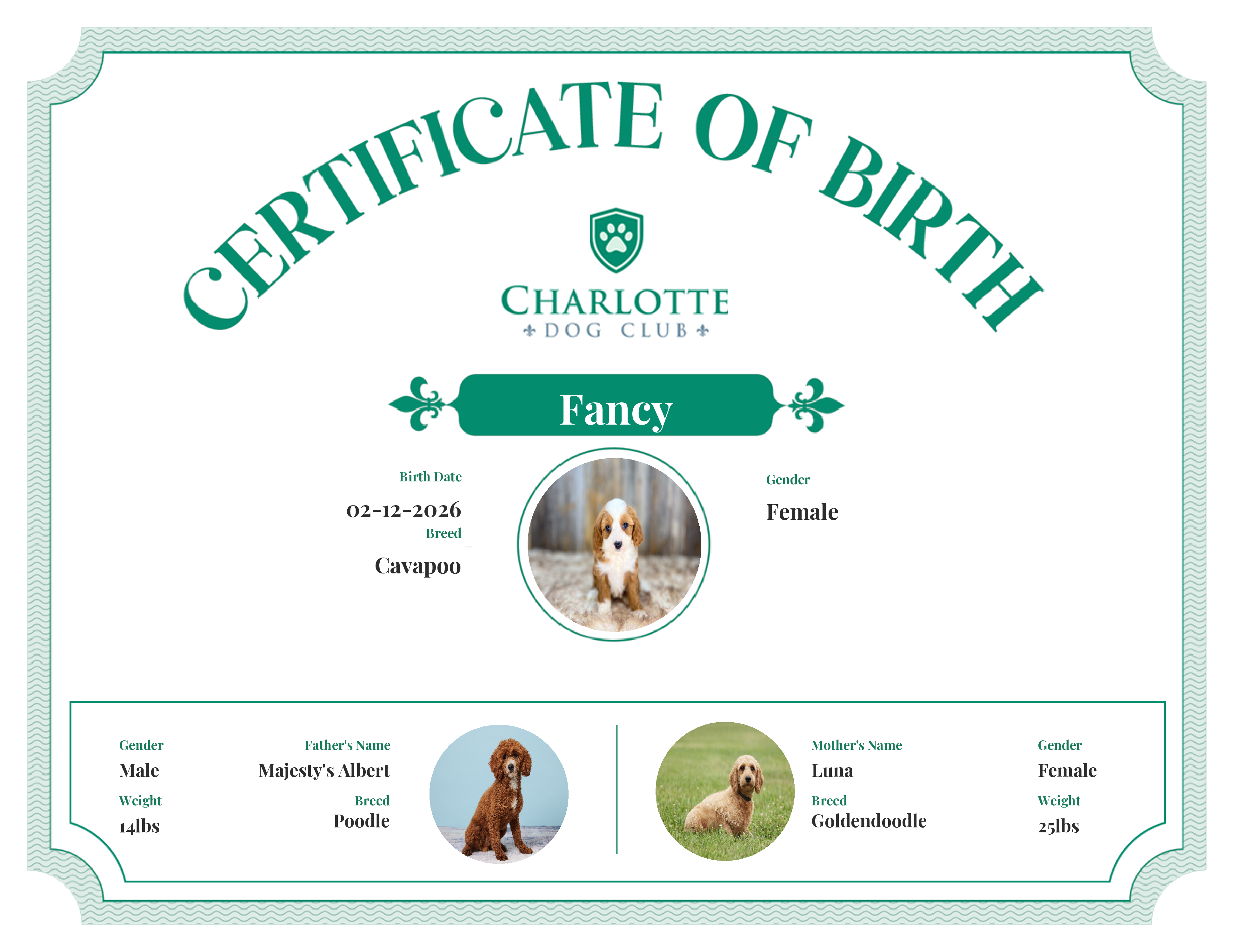 Fancy's Birth Certificate