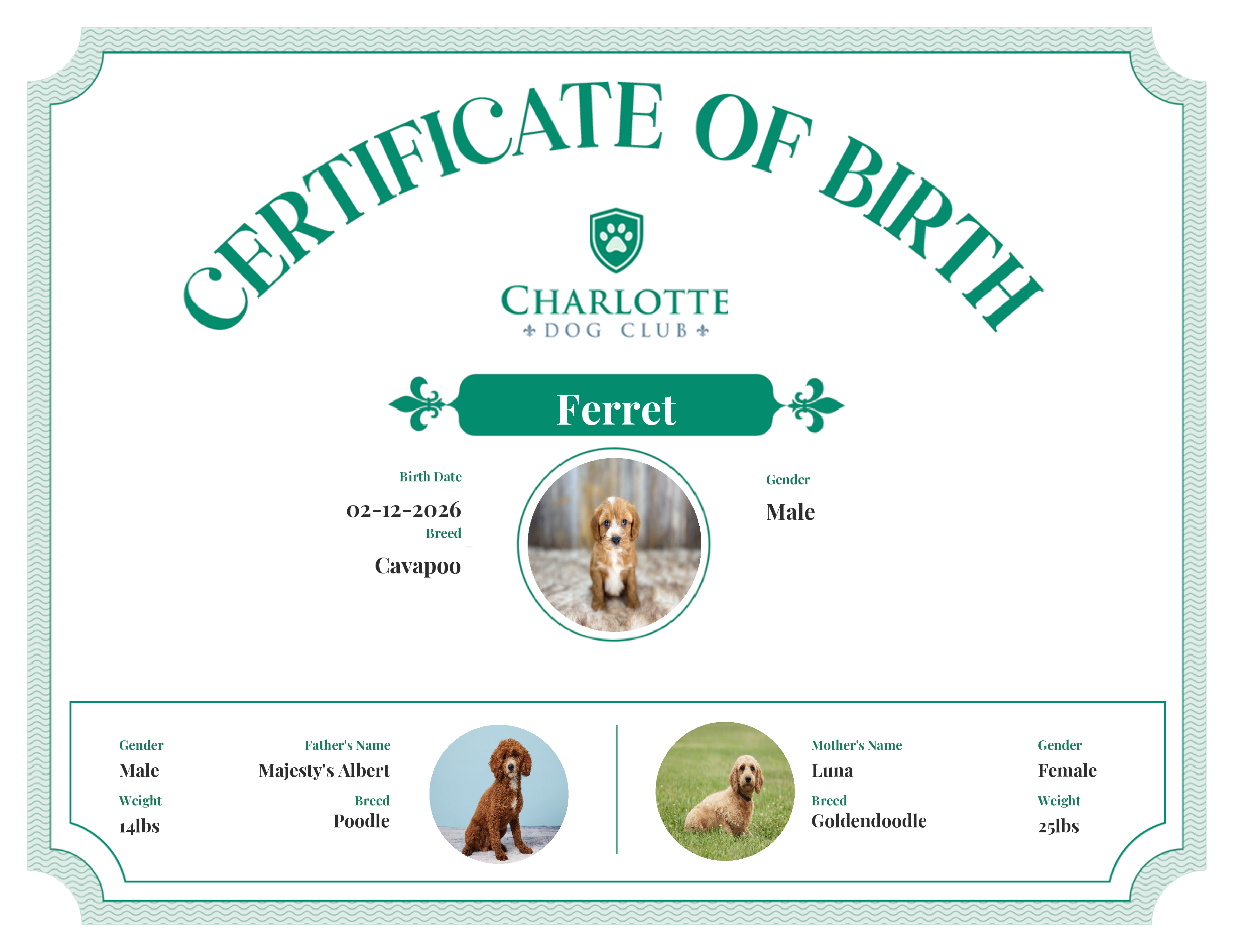 Ferret's Birth Certificate