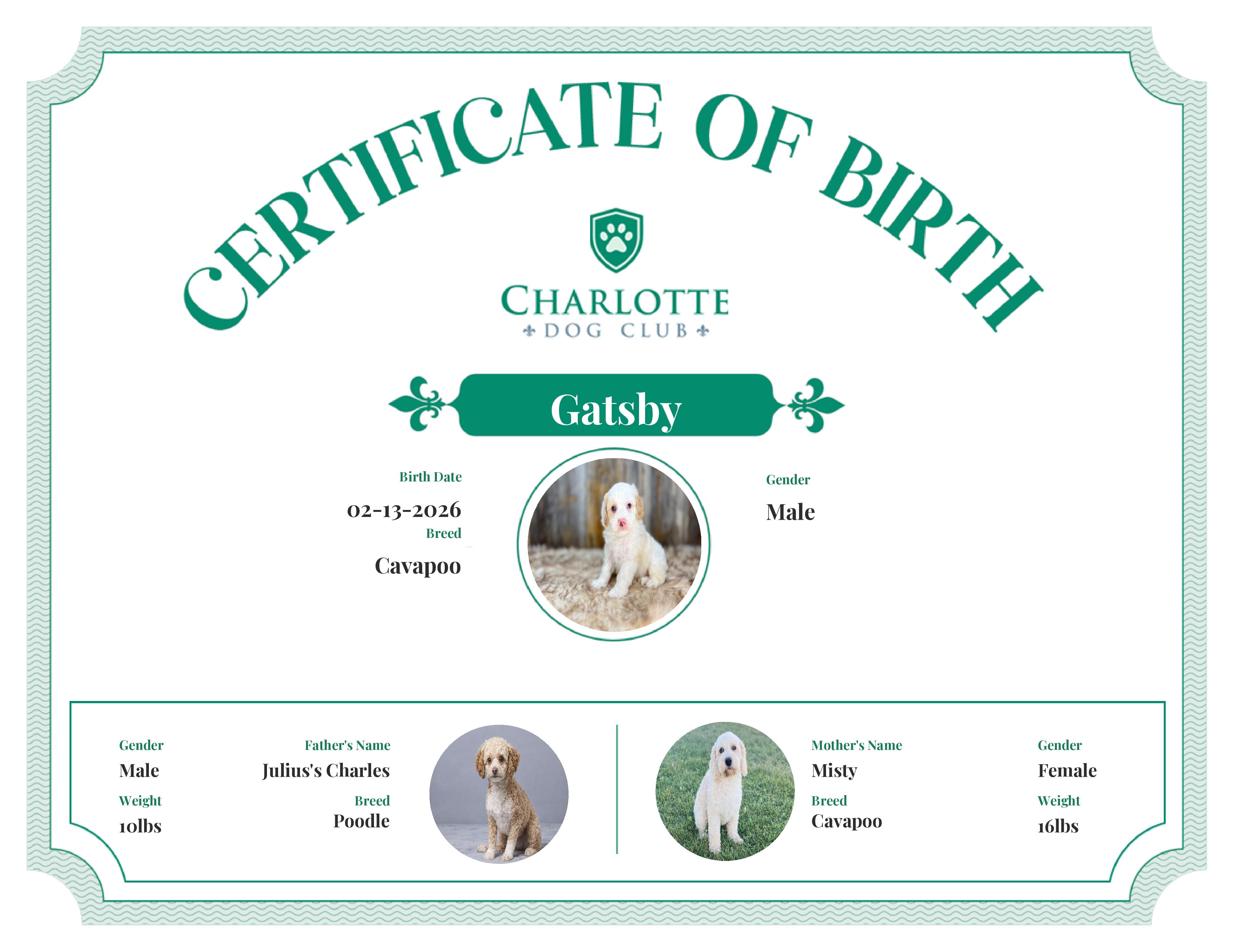 Gatsby's Birth Certificate
