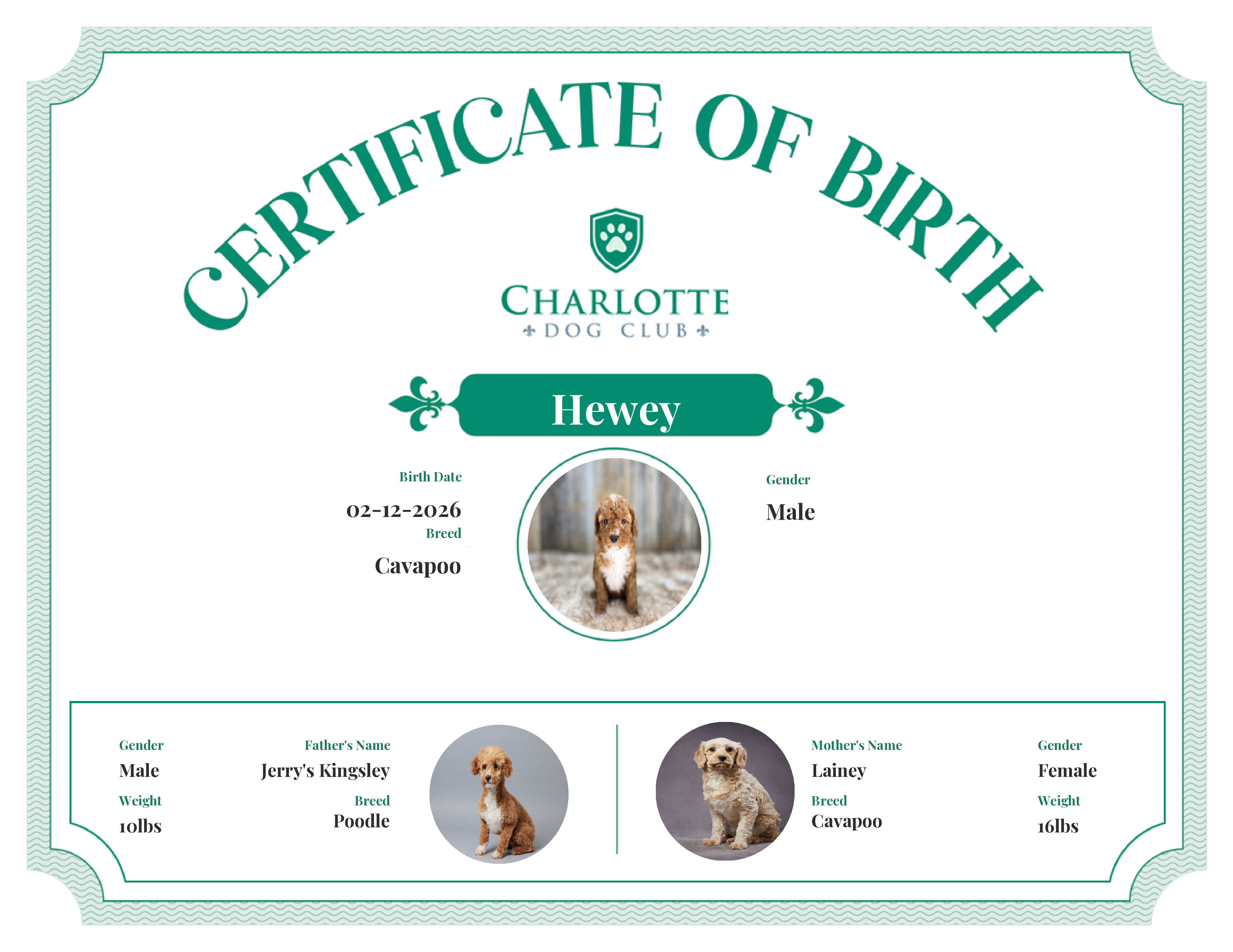 Hewey's Birth Certificate