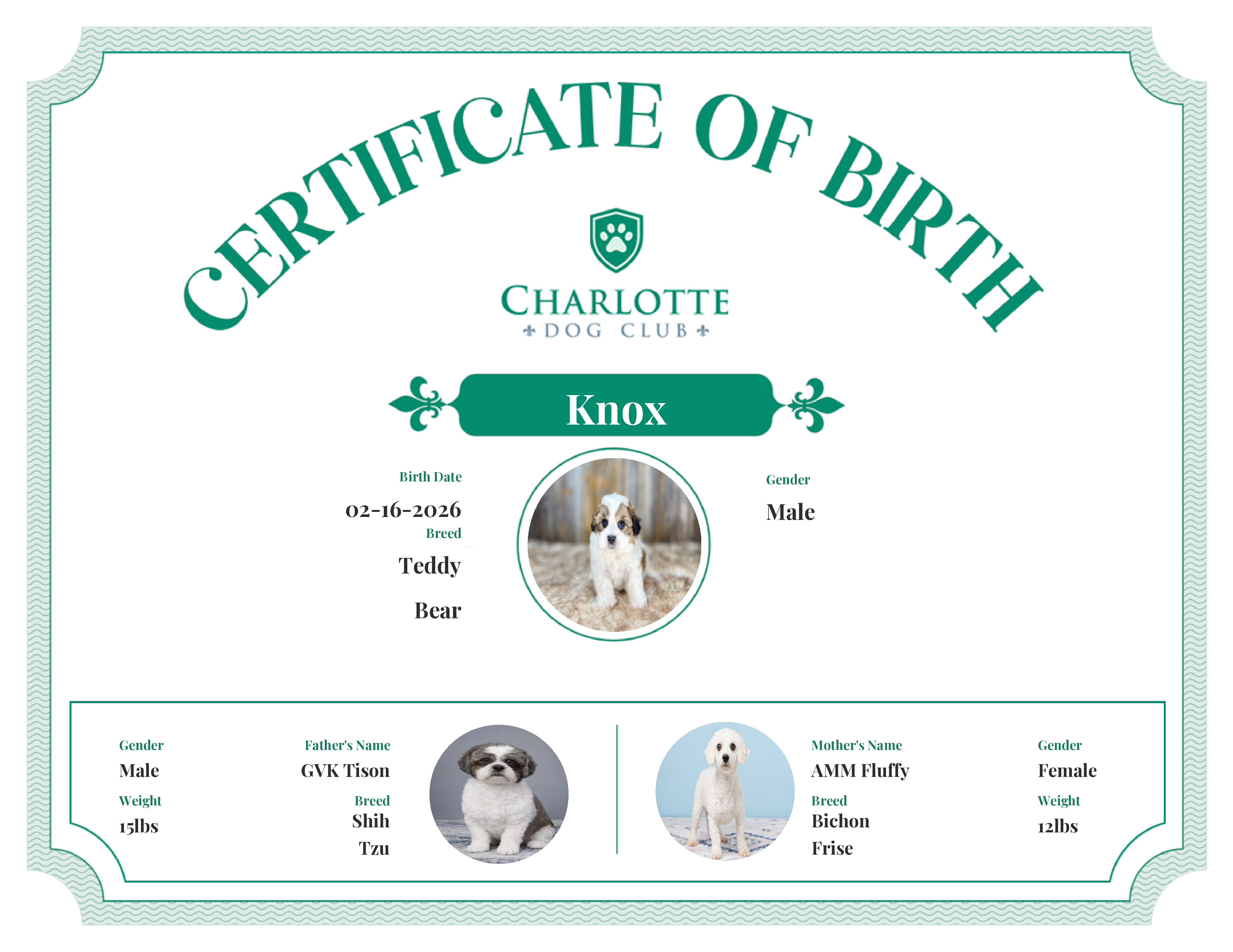 Knox's Birth Certificate