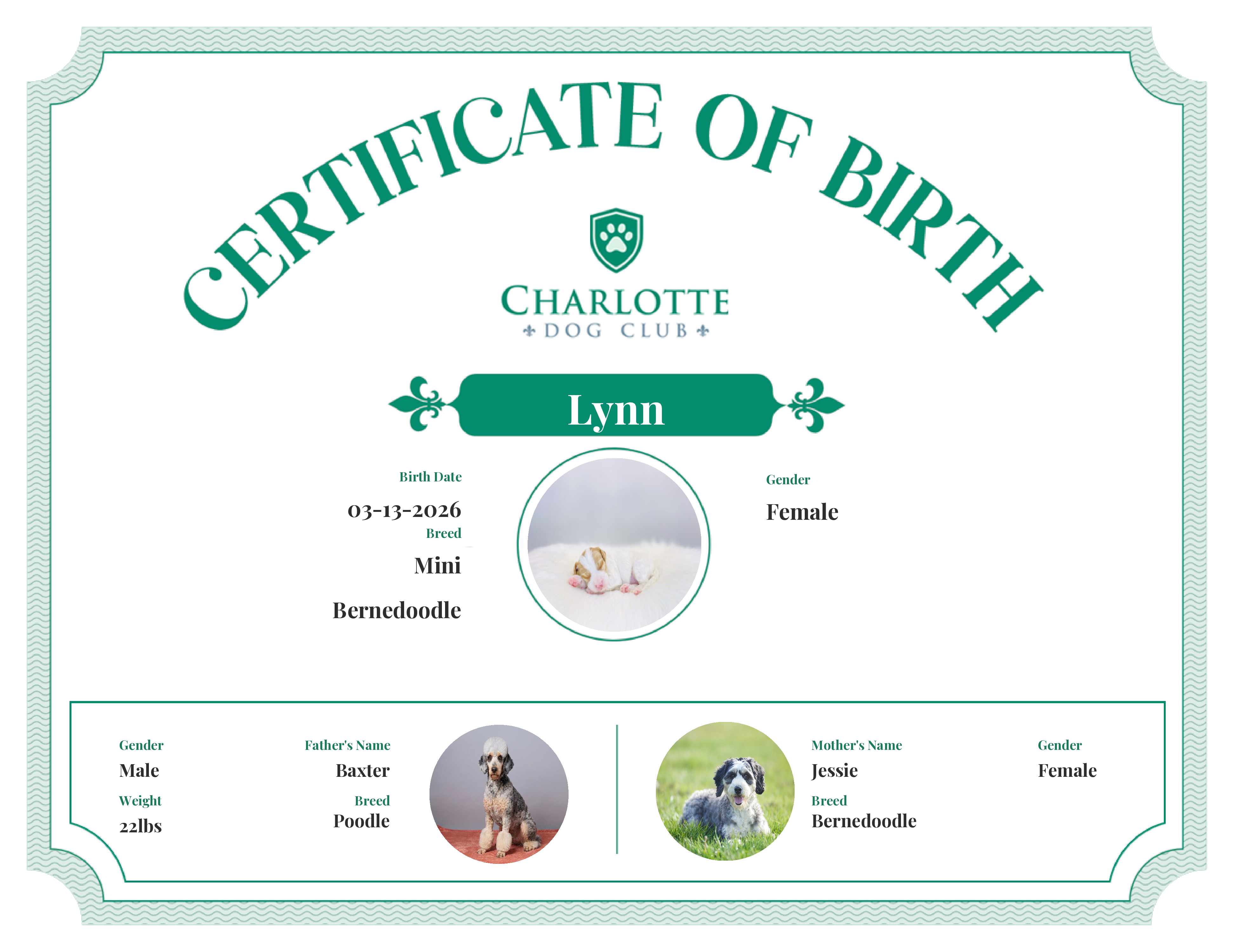 Lynn's Birth Certificate