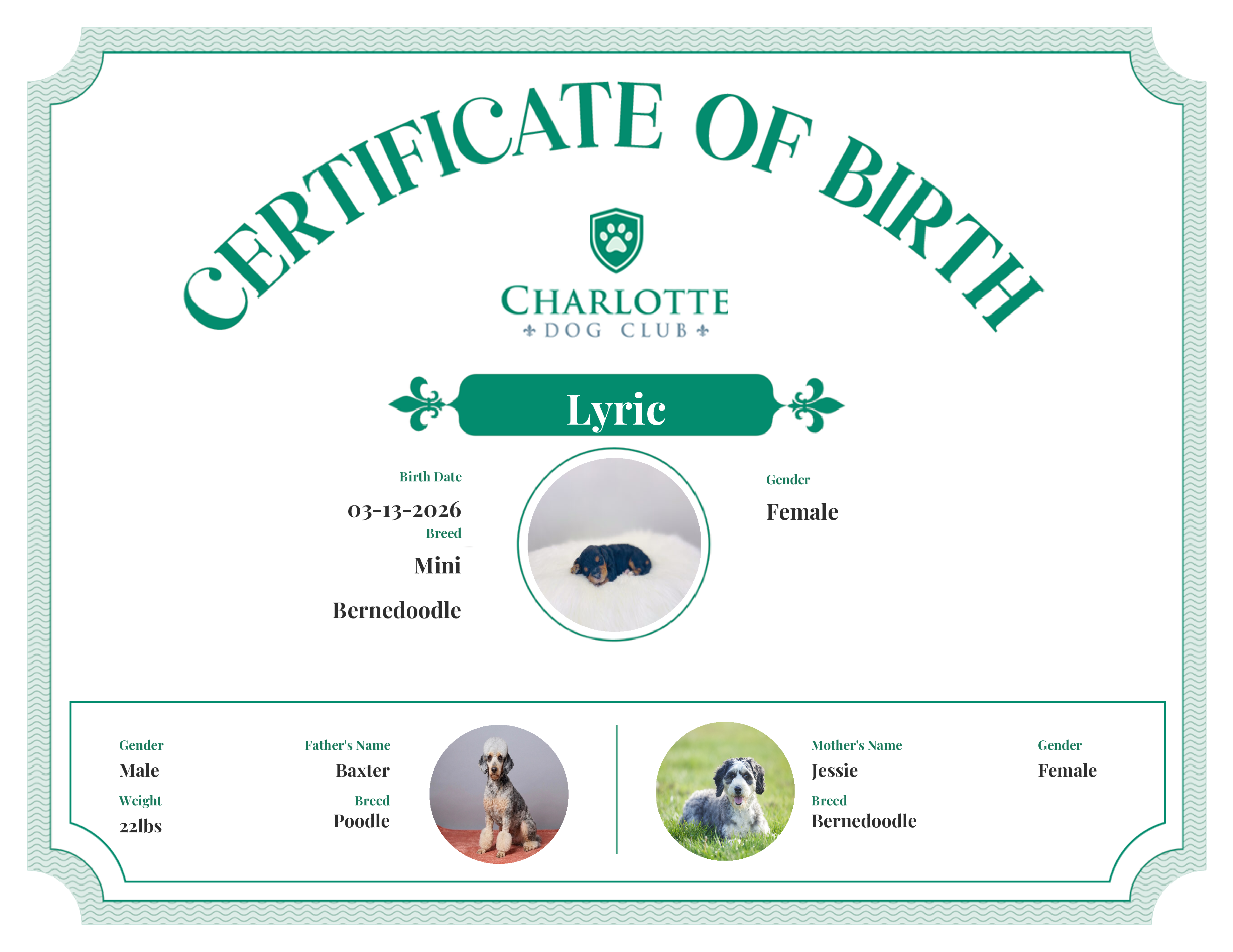 Lyric's Birth Certificate