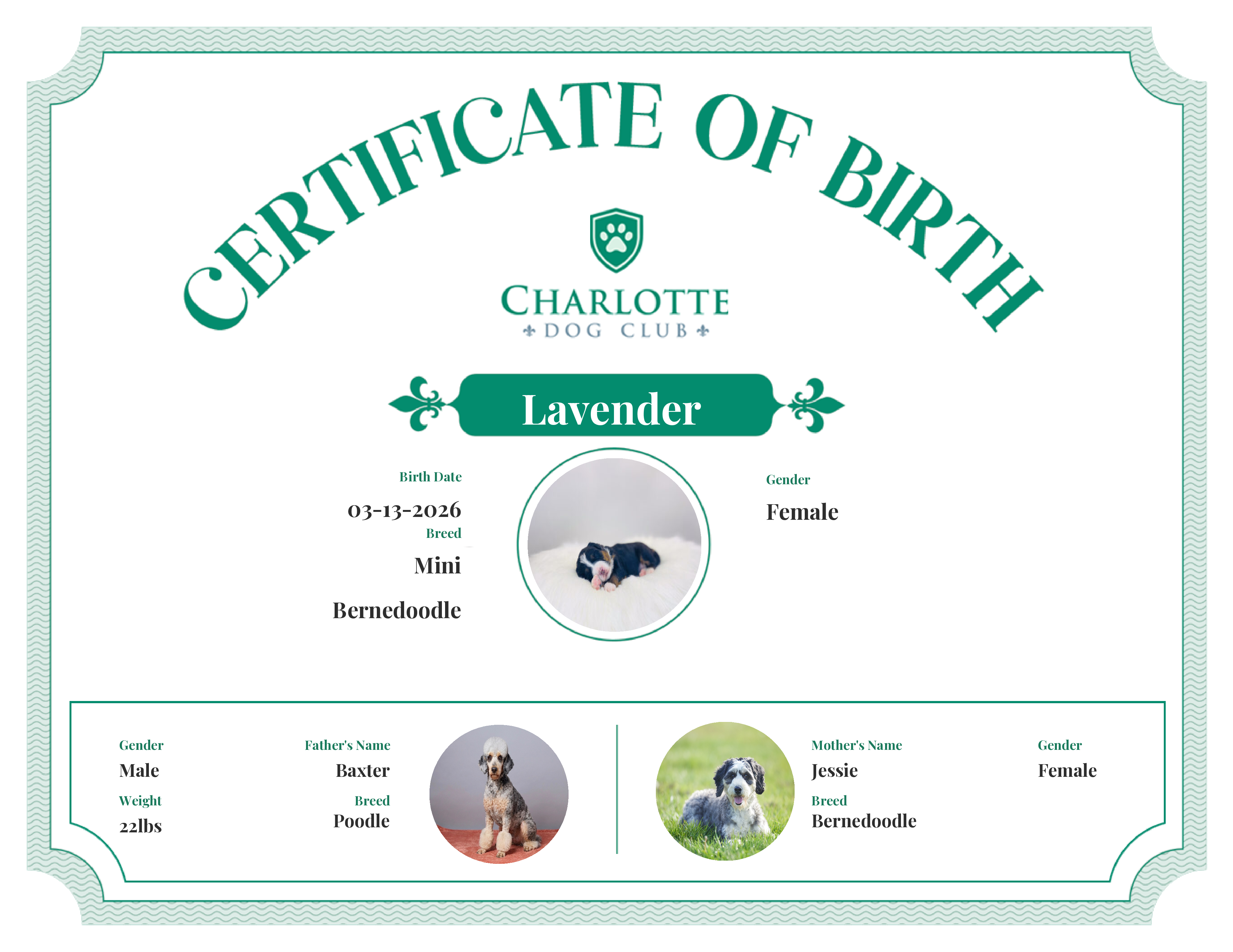 Lavender 's Birth Certificate