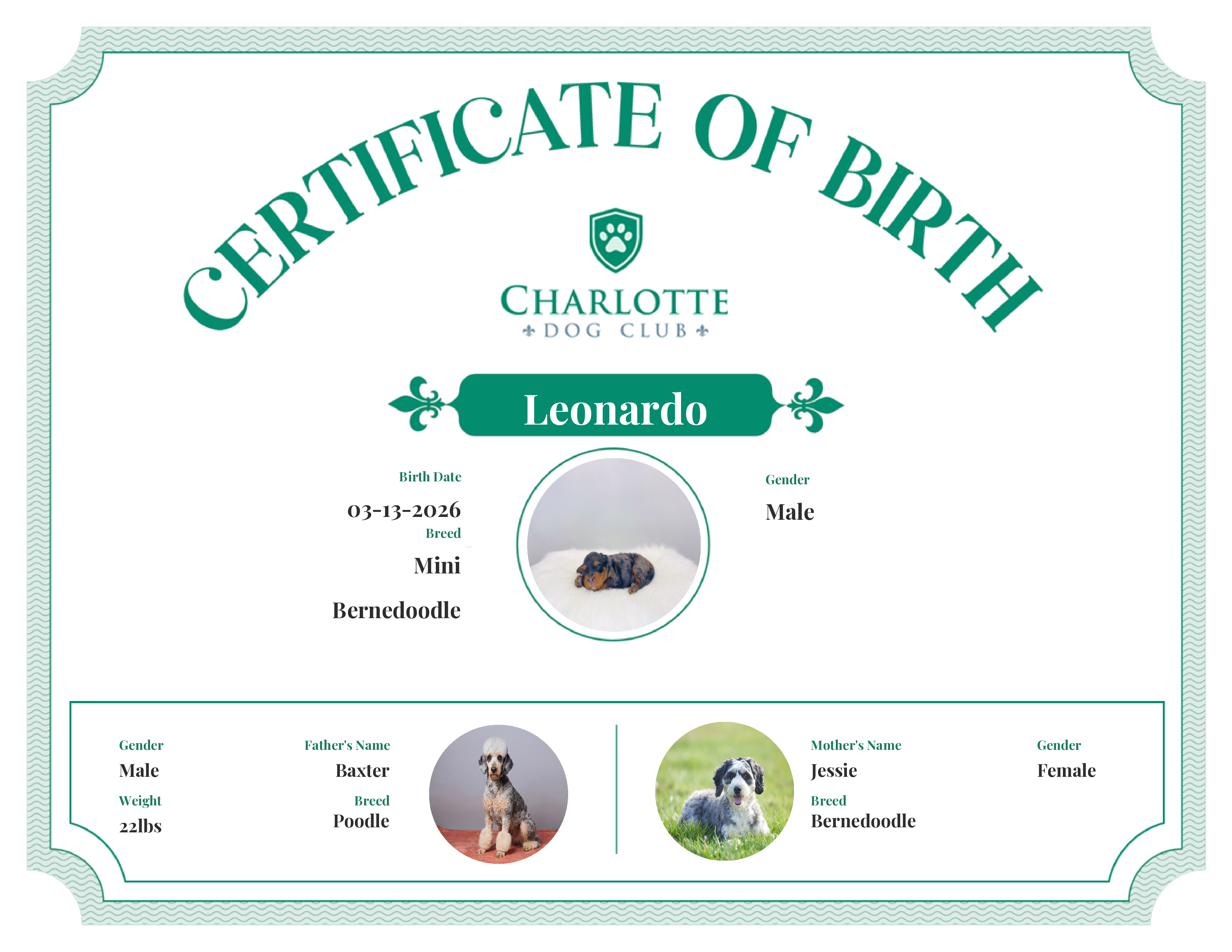 Leonardo's Birth Certificate