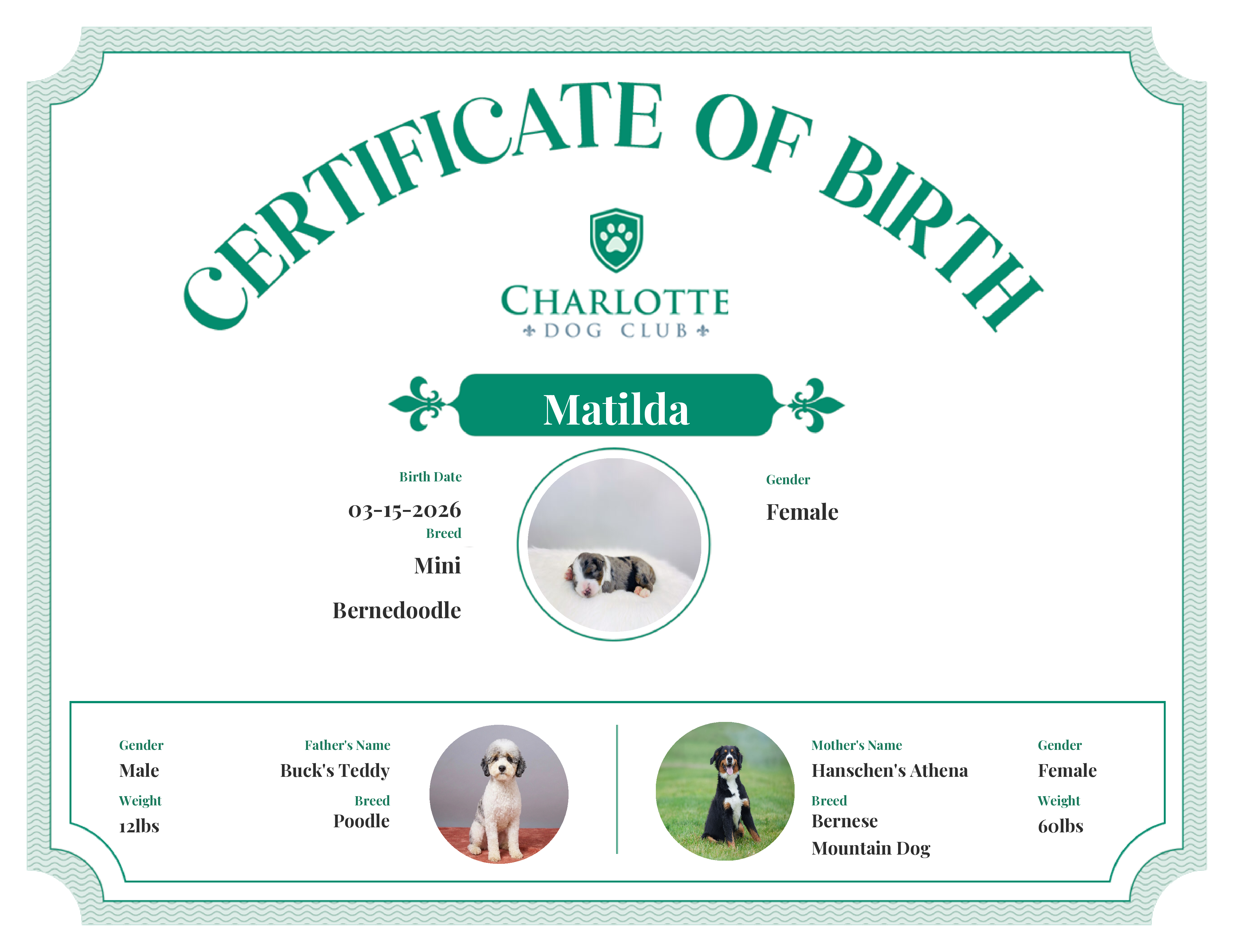 Matilda's Birth Certificate