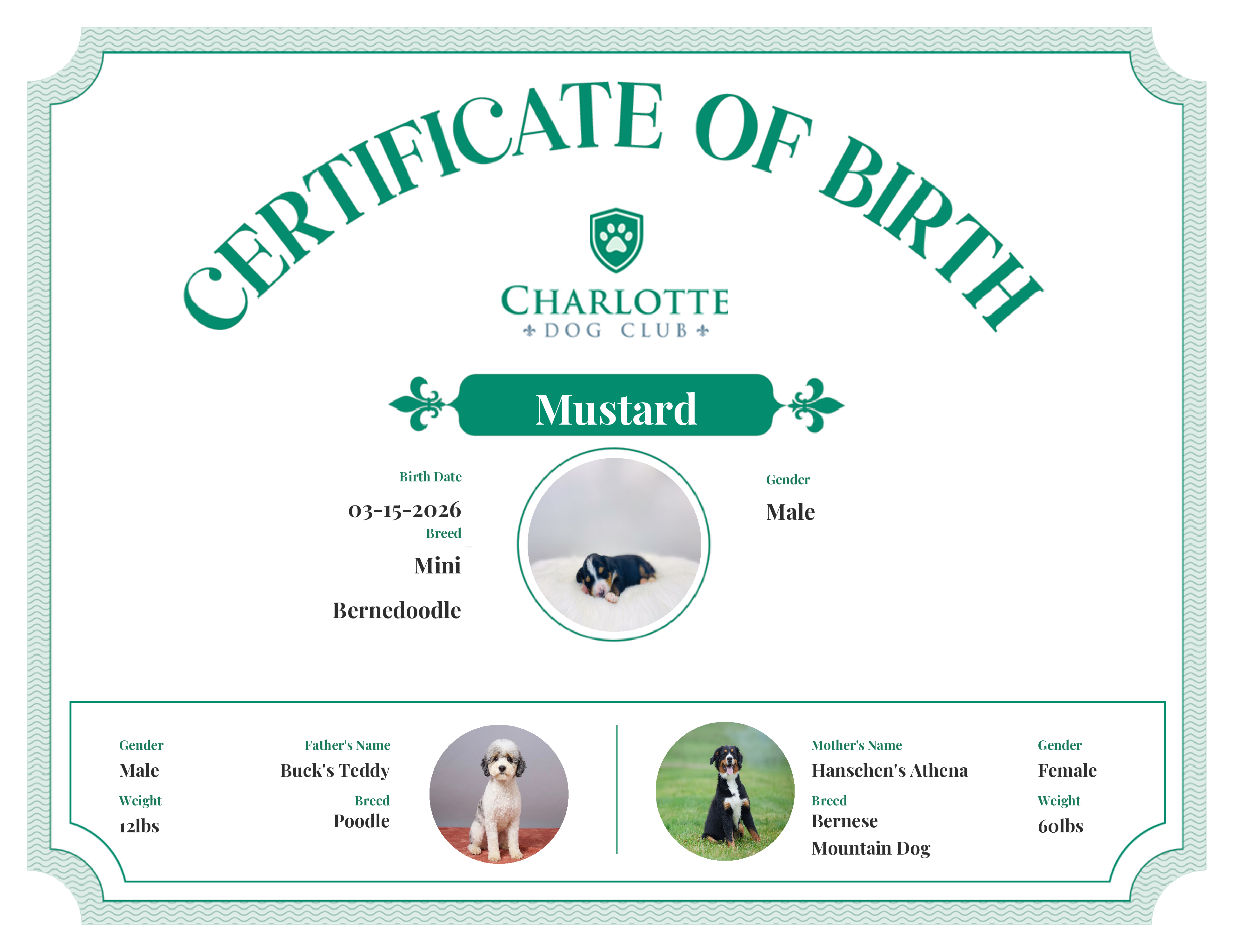 Mustard's Birth Certificate