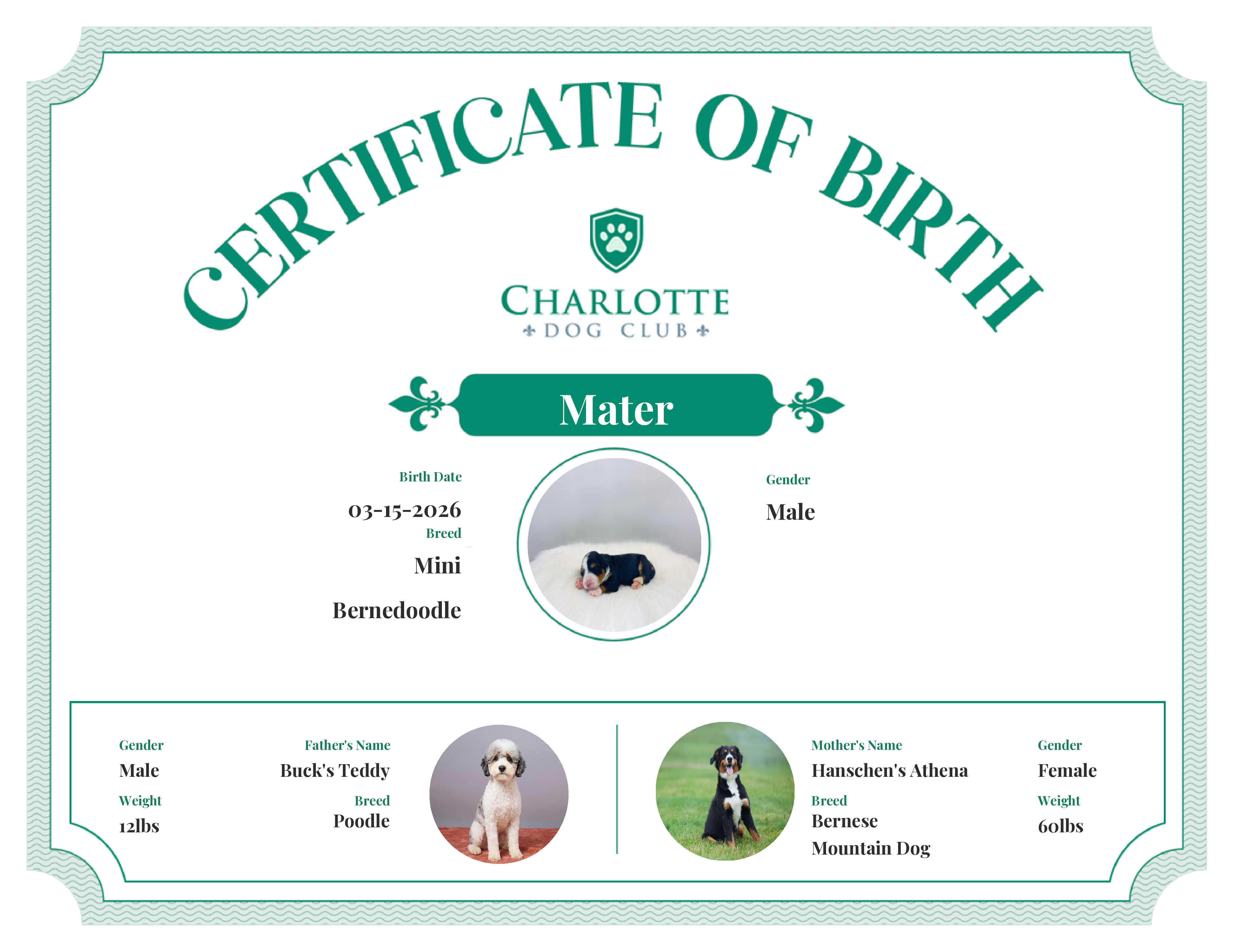 Mater's Birth Certificate