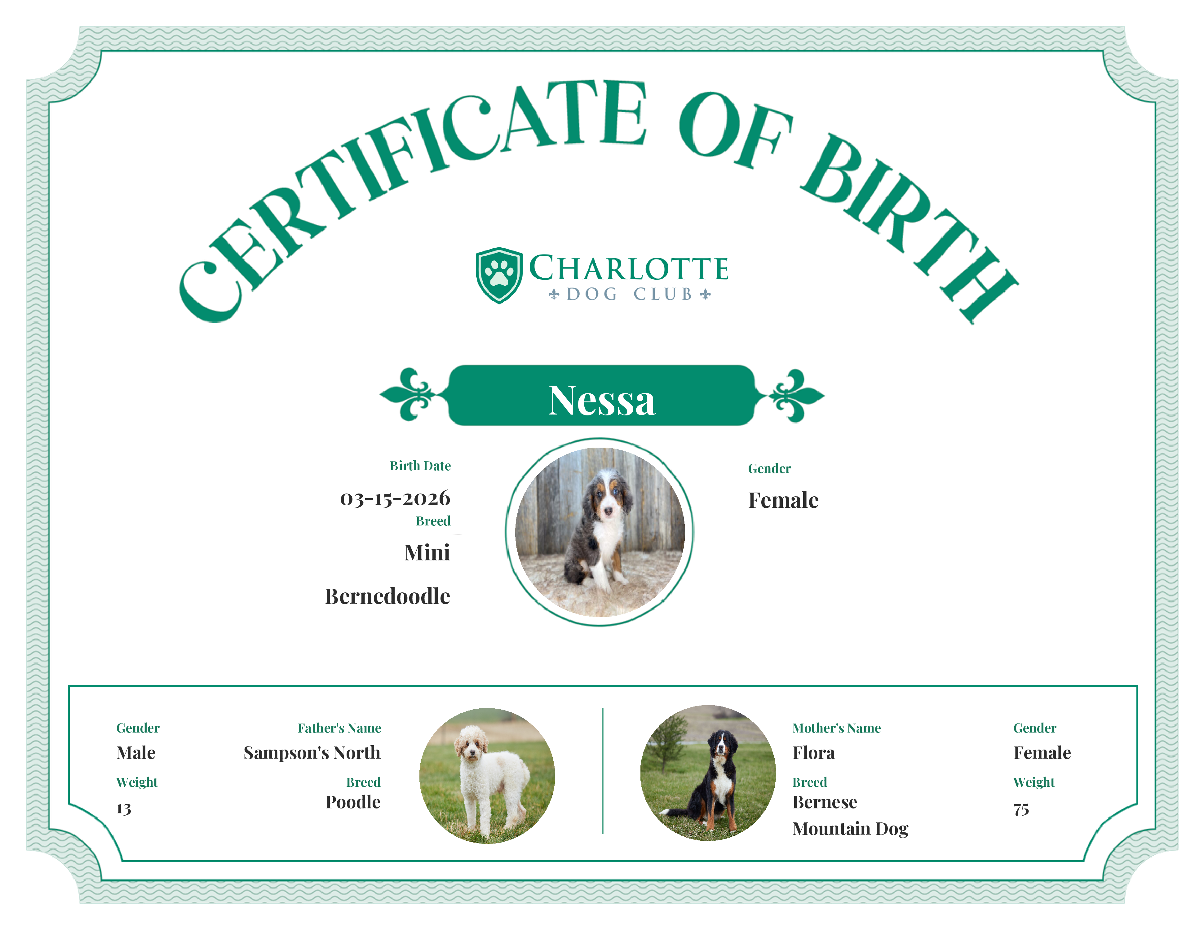 Nessa's Birth Certificate