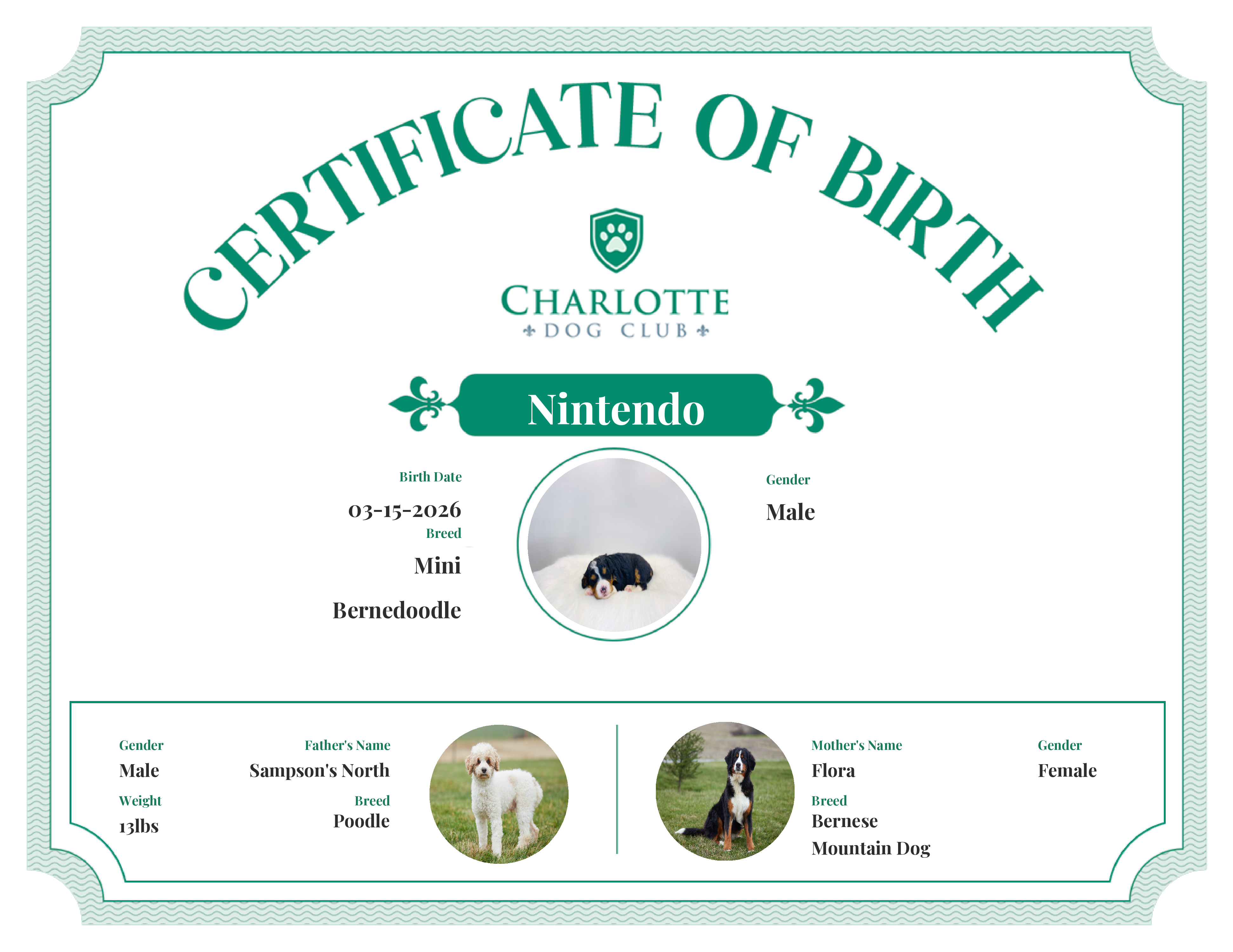 Nintendo's Birth Certificate