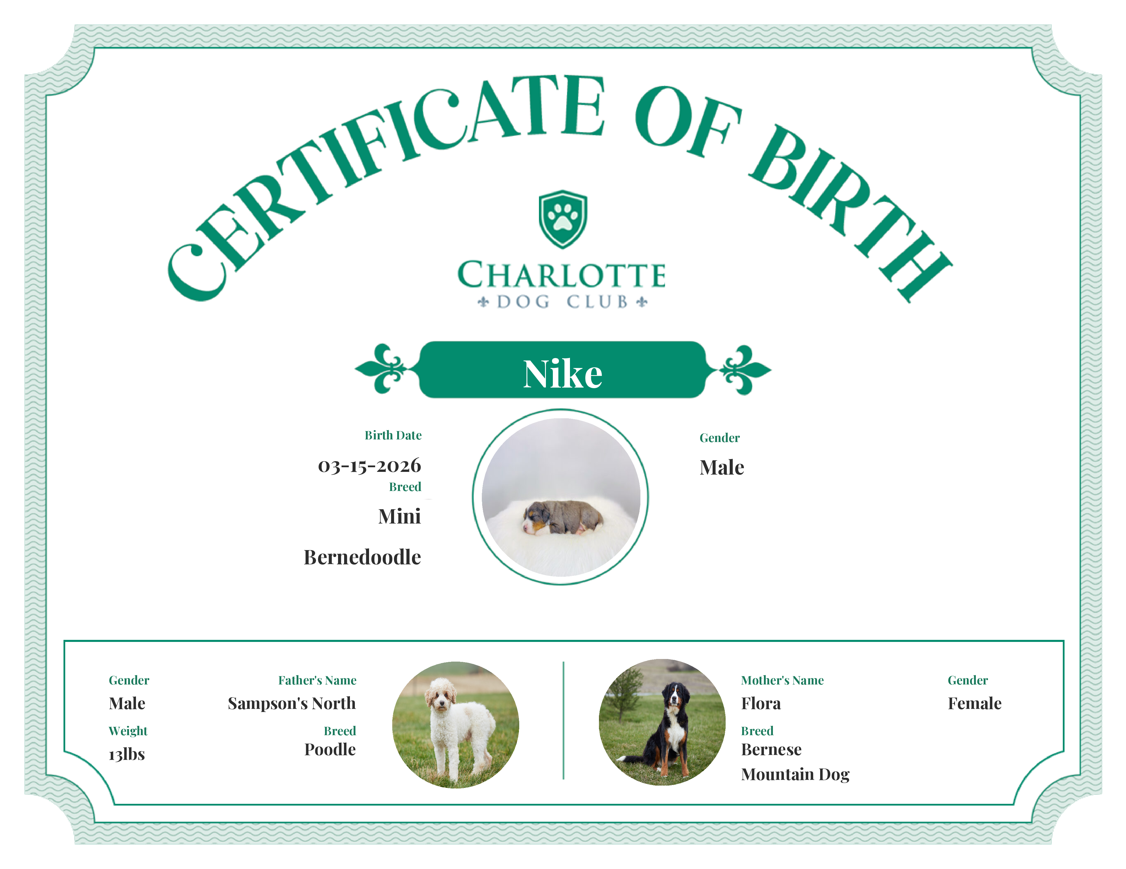 Nike's Birth Certificate