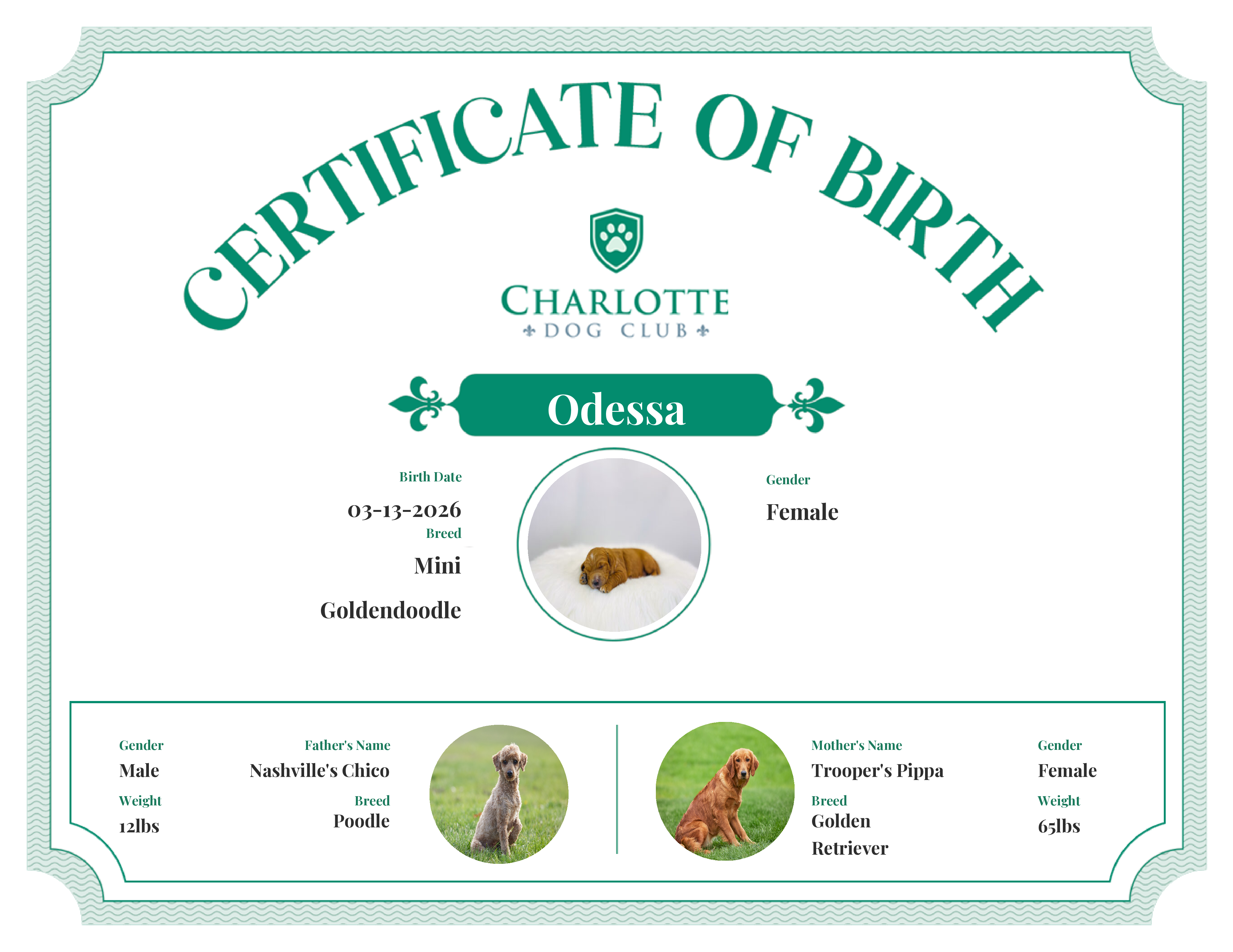 Odessa's Birth Certificate