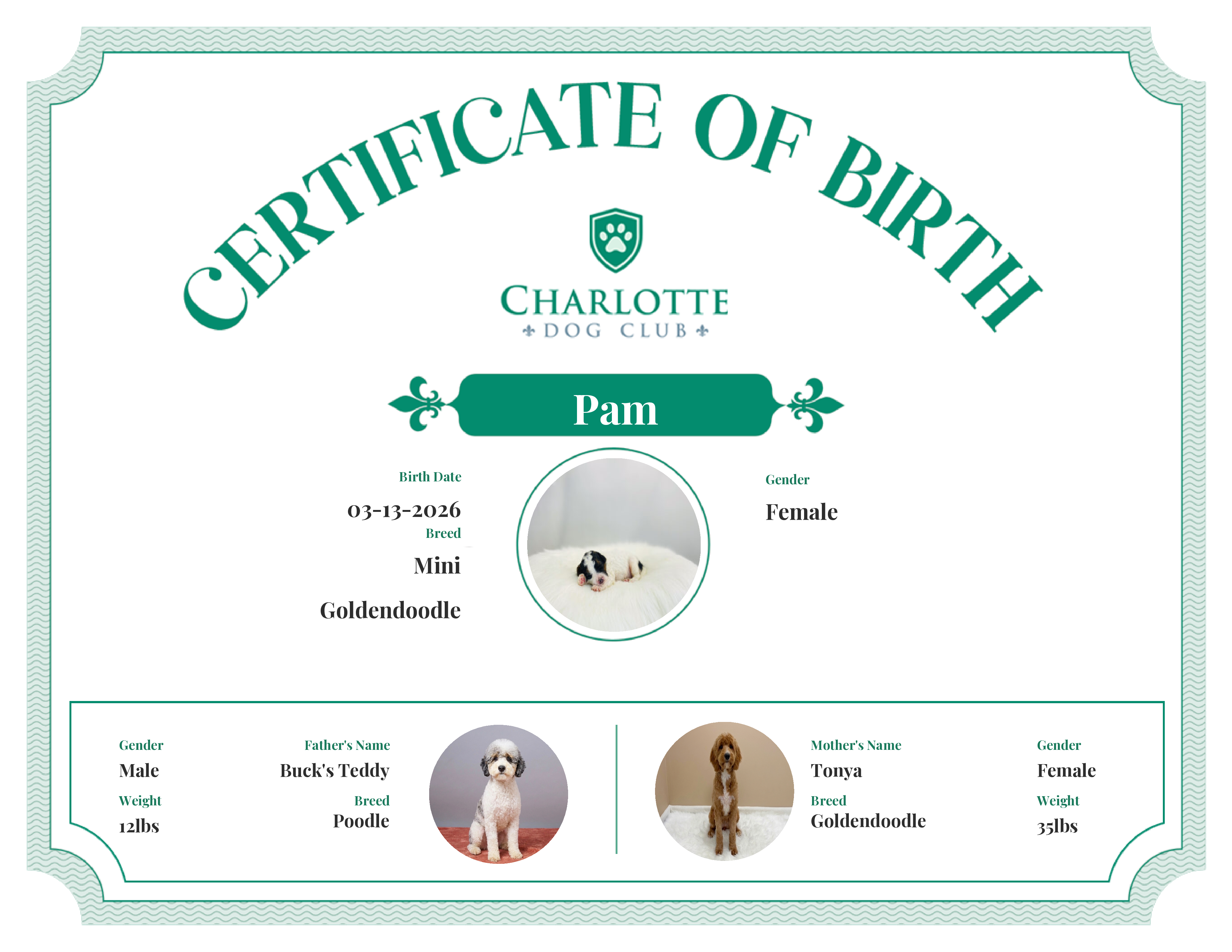 Pam's Birth Certificate