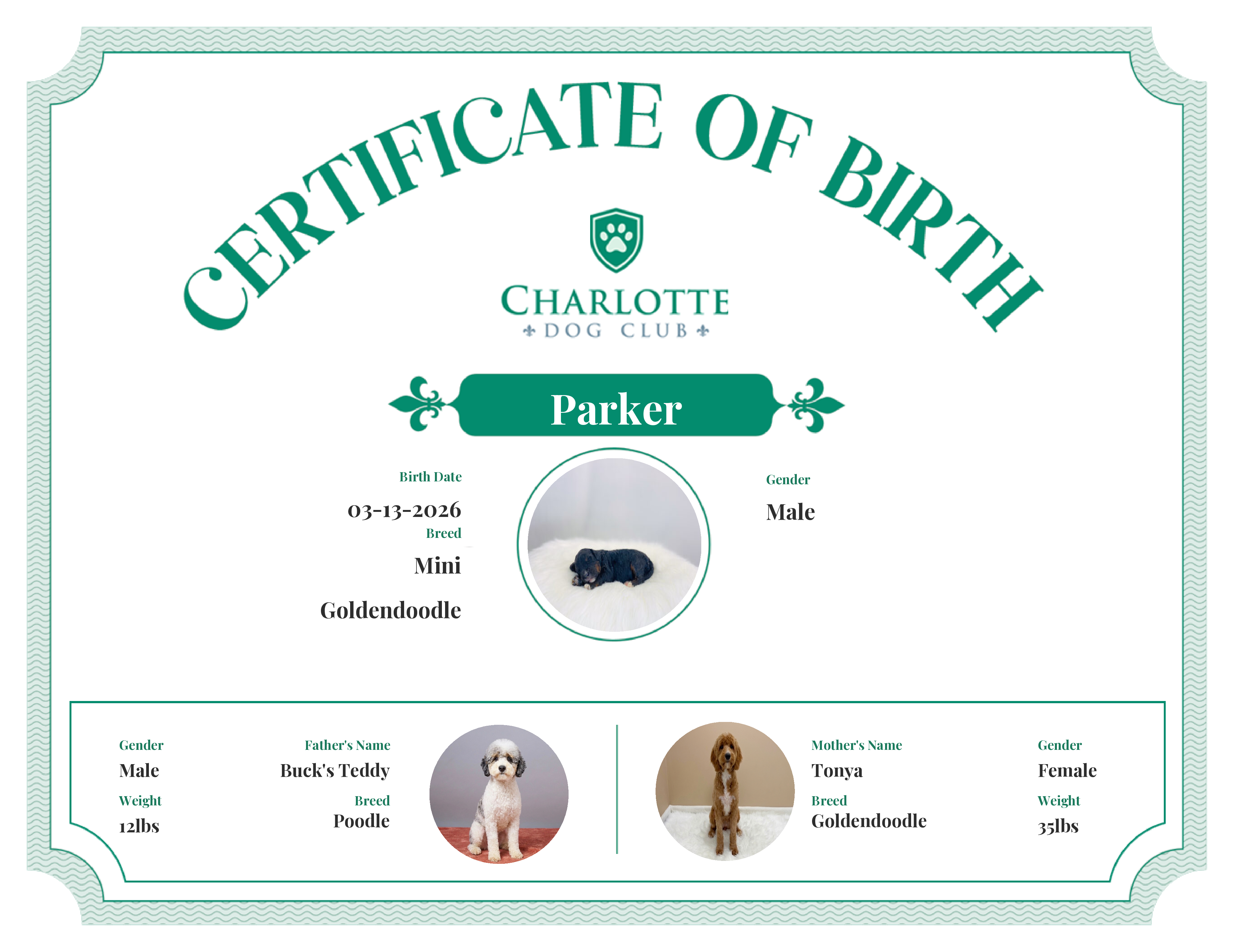 Parker's Birth Certificate