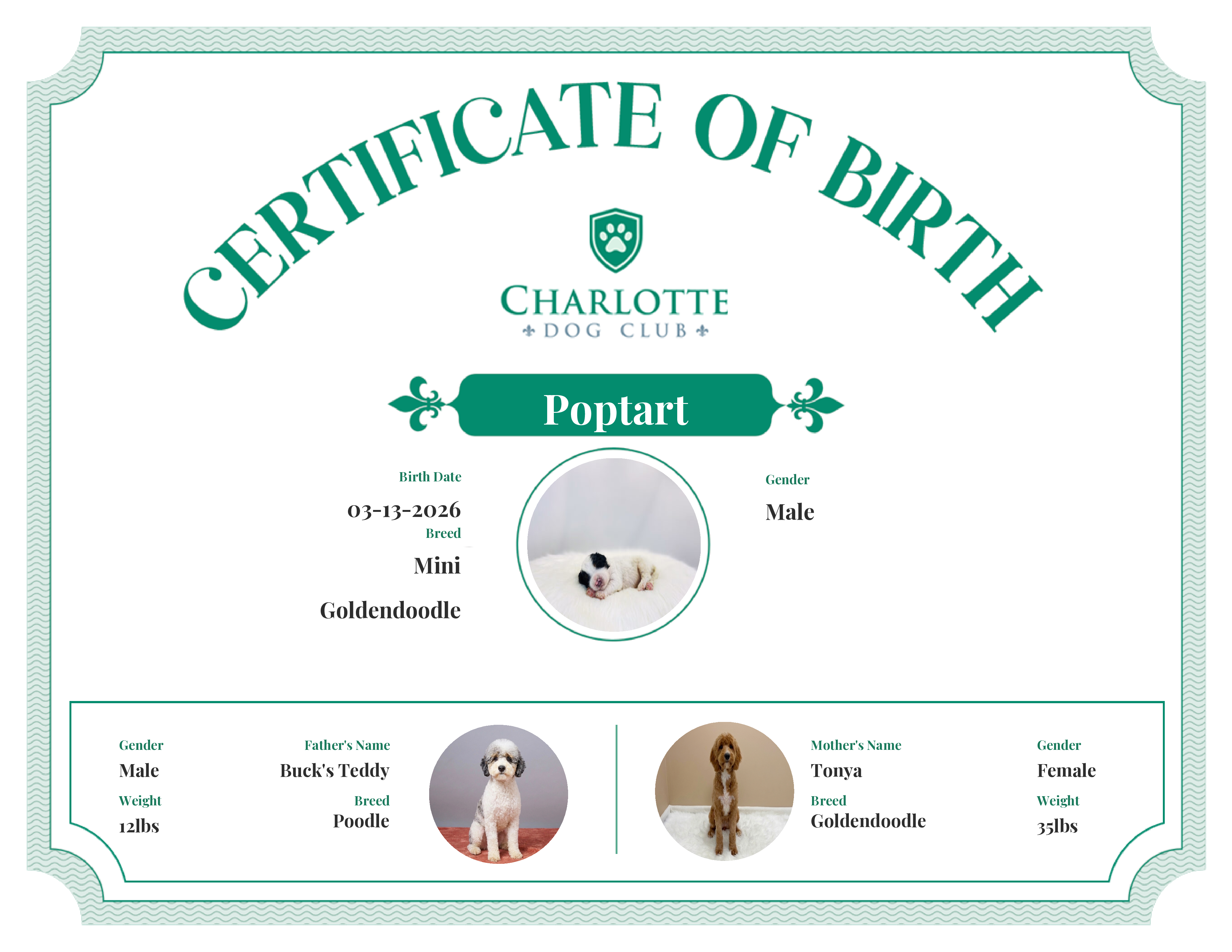 Poptart's Birth Certificate