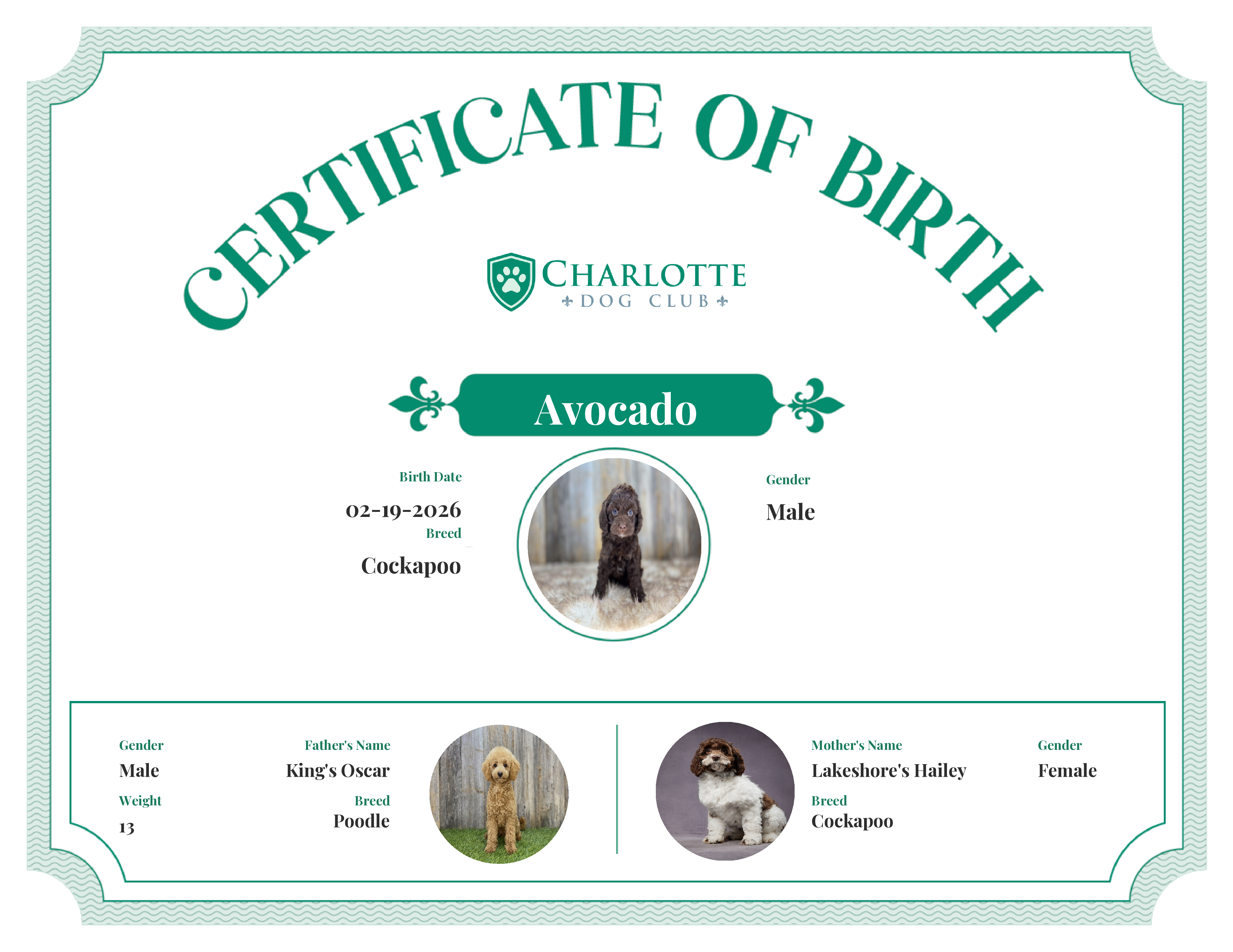 Avocado's Birth Certificate